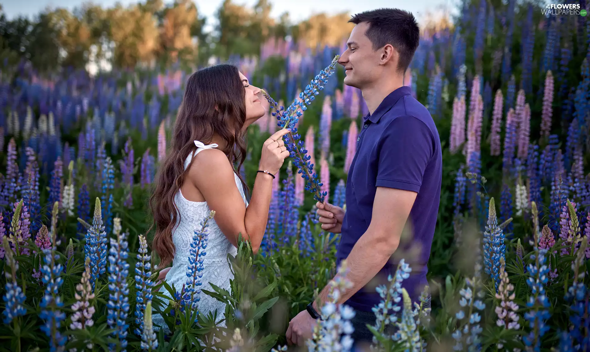 People, a man, lupine, Women