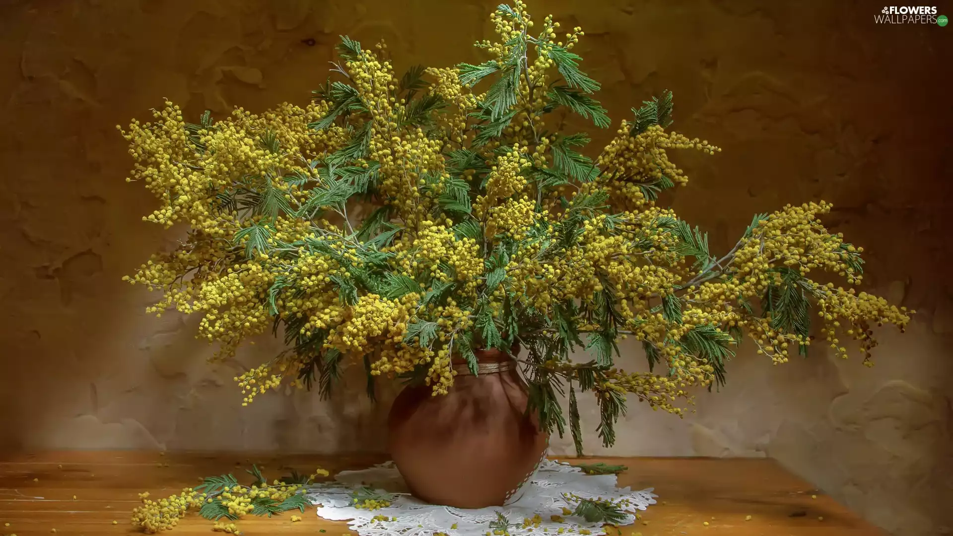 Vase, napkin, Twigs, Acacia Dealbata, bouquet