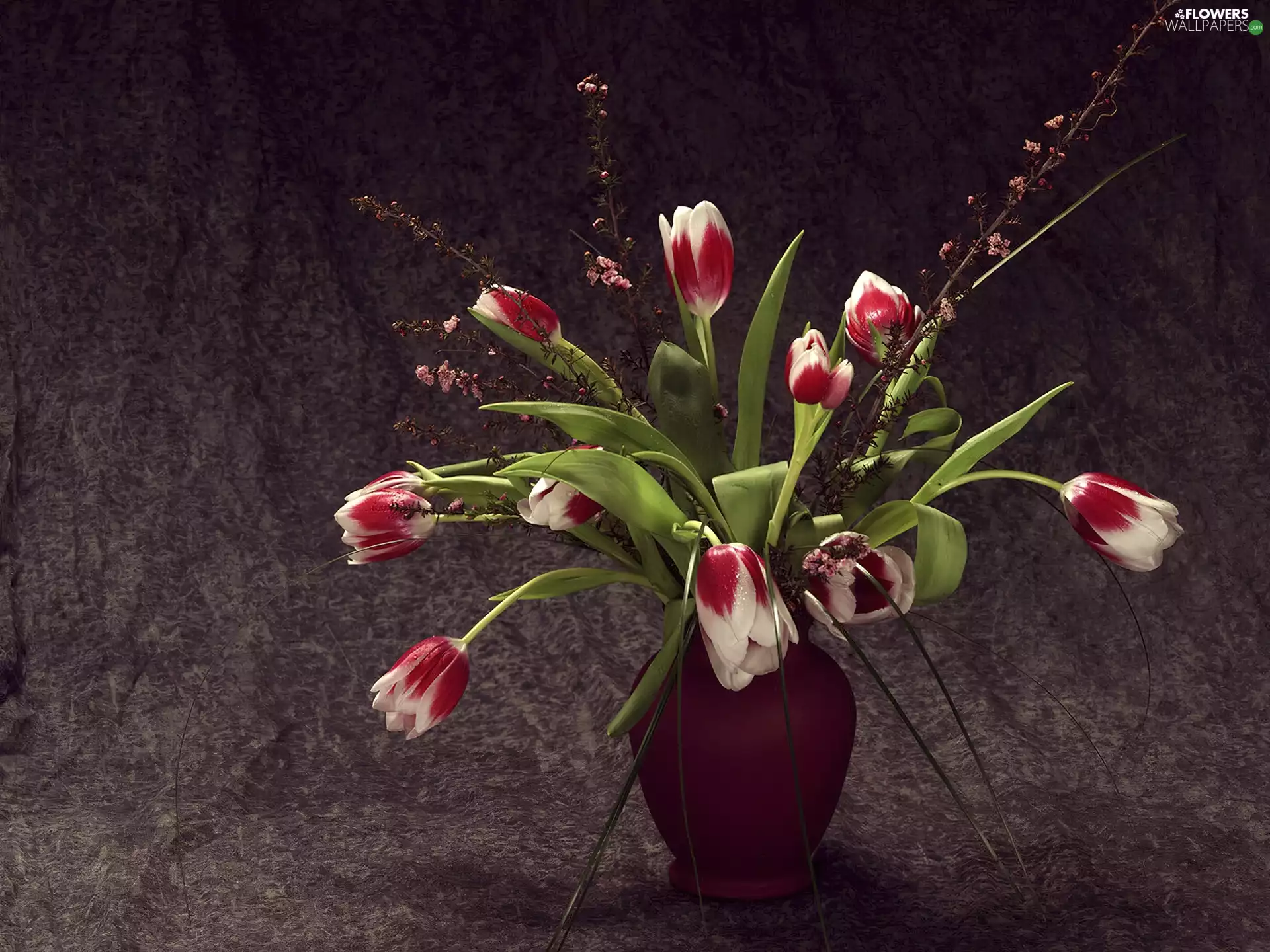 adoption, Vase, Tulips