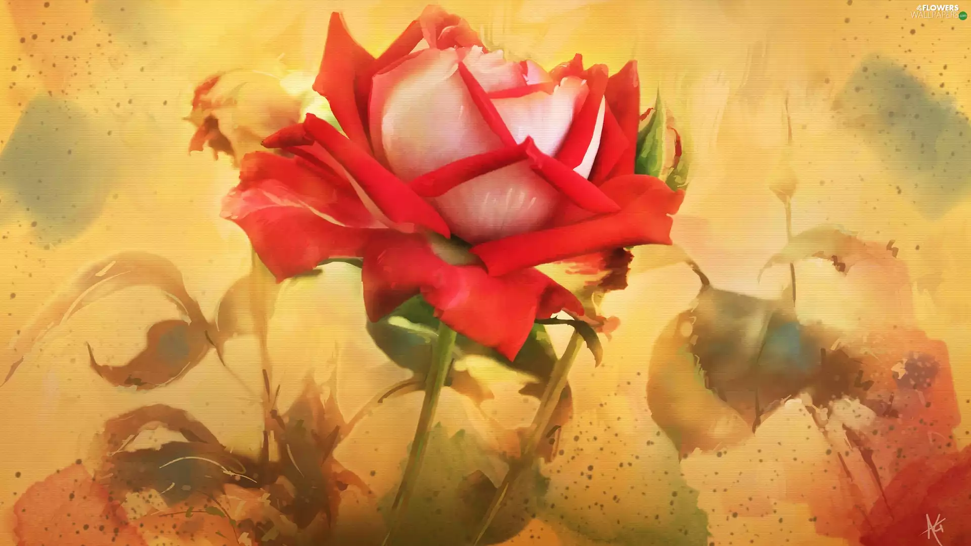 painting, Alberto Guillen, rose, picture