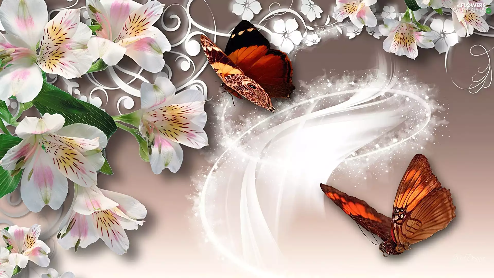 Art, Alstroemeria, light, butterflies, reflections