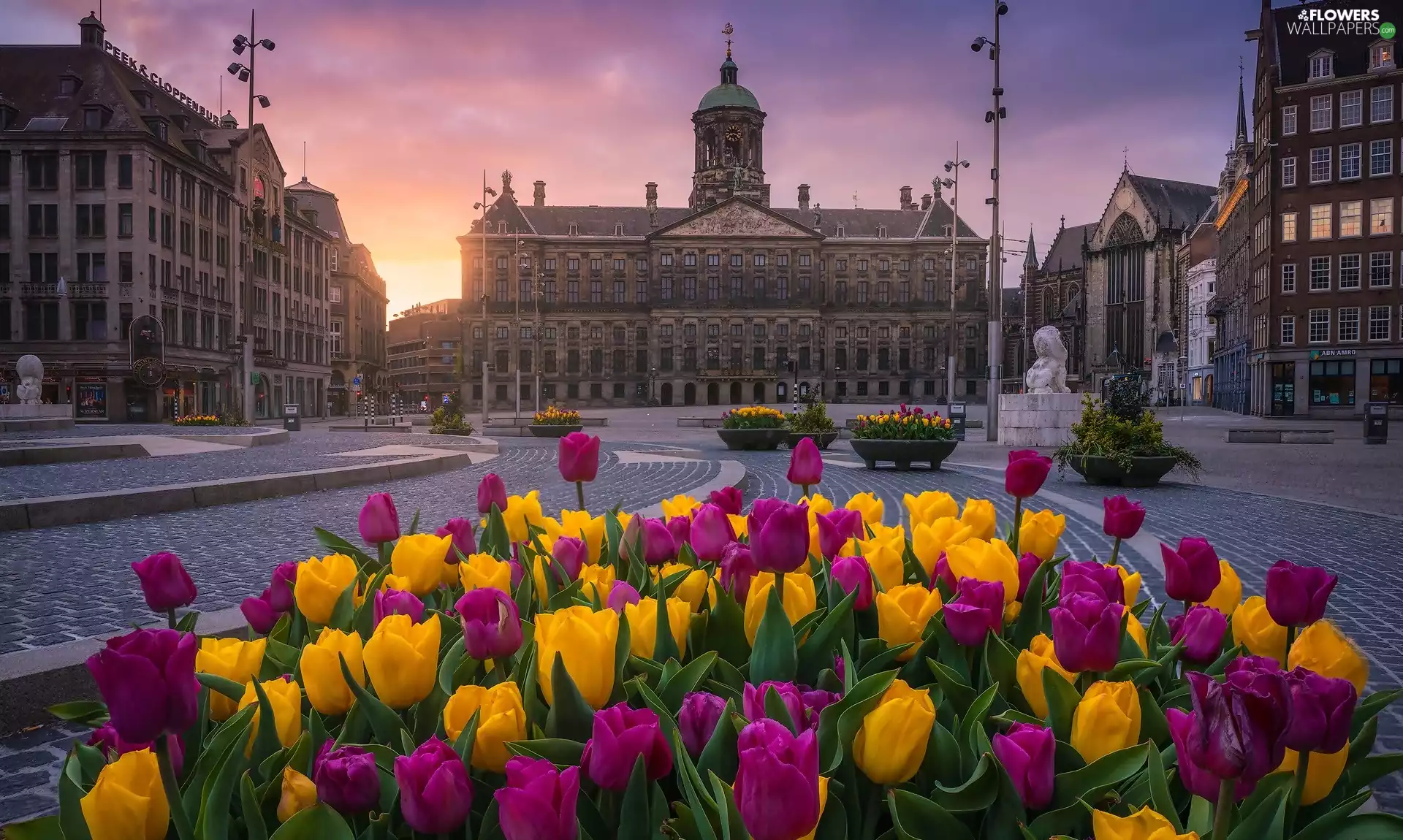 Tulips, Great Sunsets, Amsterdam, Royal Palace, Netherlands