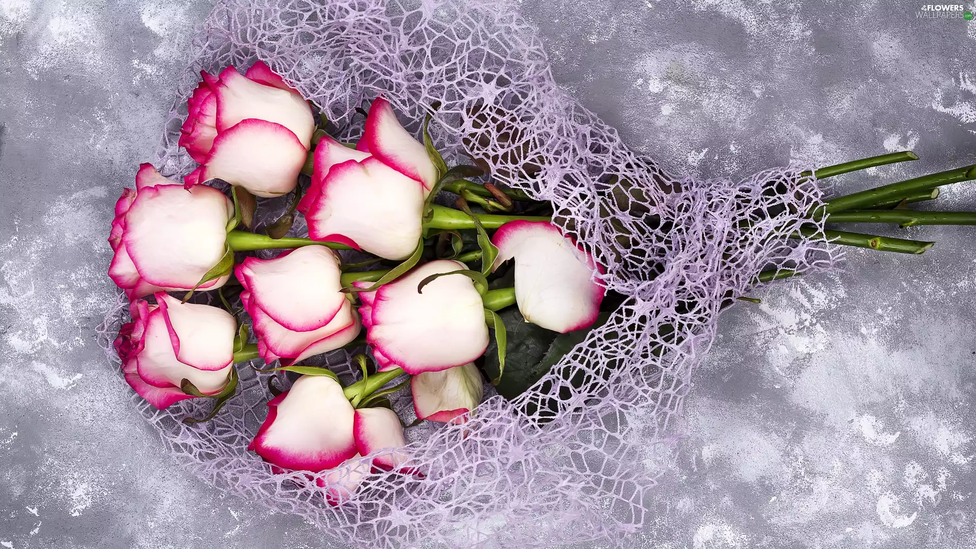Grey, background, white and pink, bouquet, roses