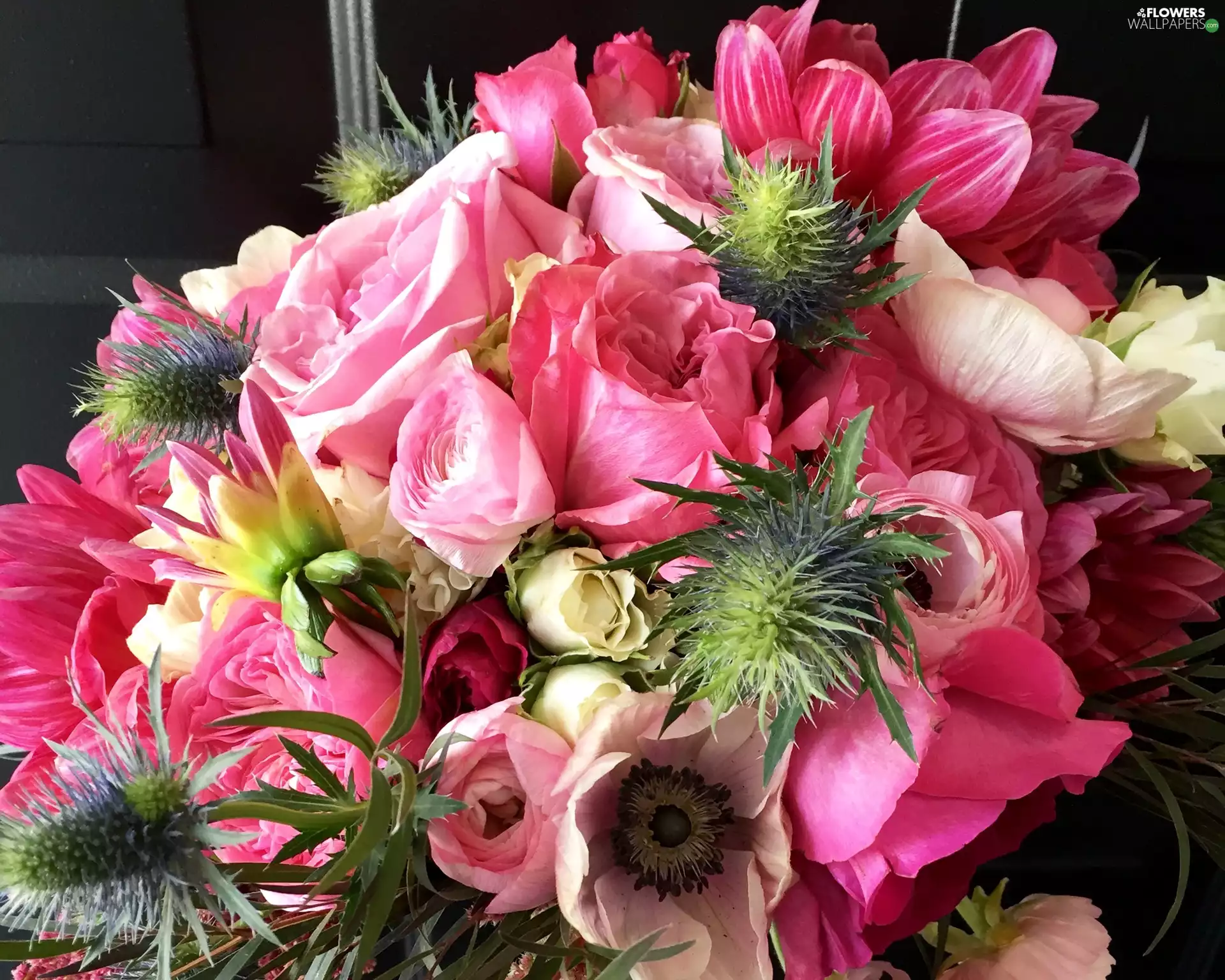 rose, buttercup, Pink, anemone