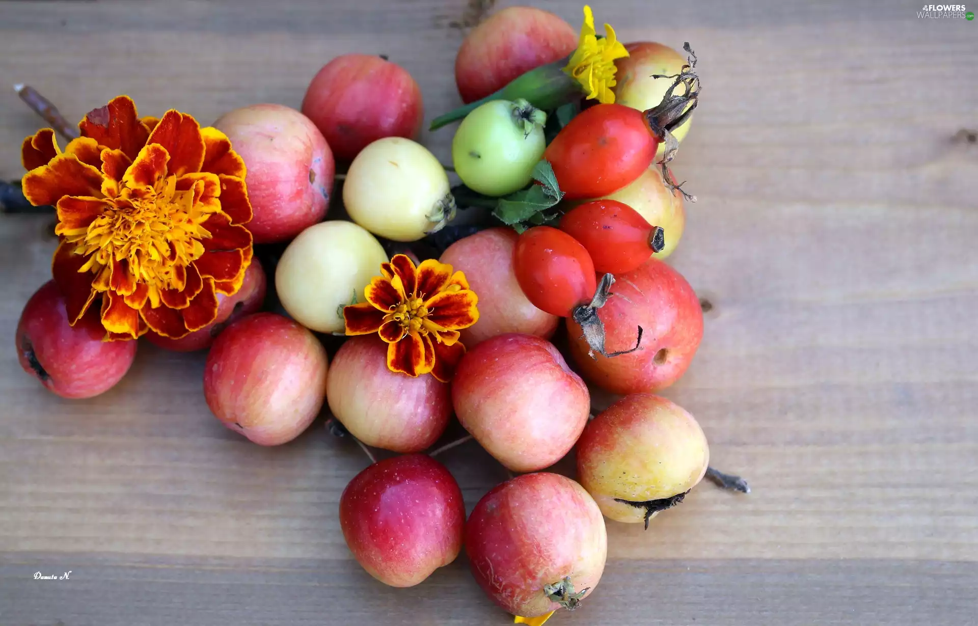 Fruits, apples, Tagetes, wild Rose