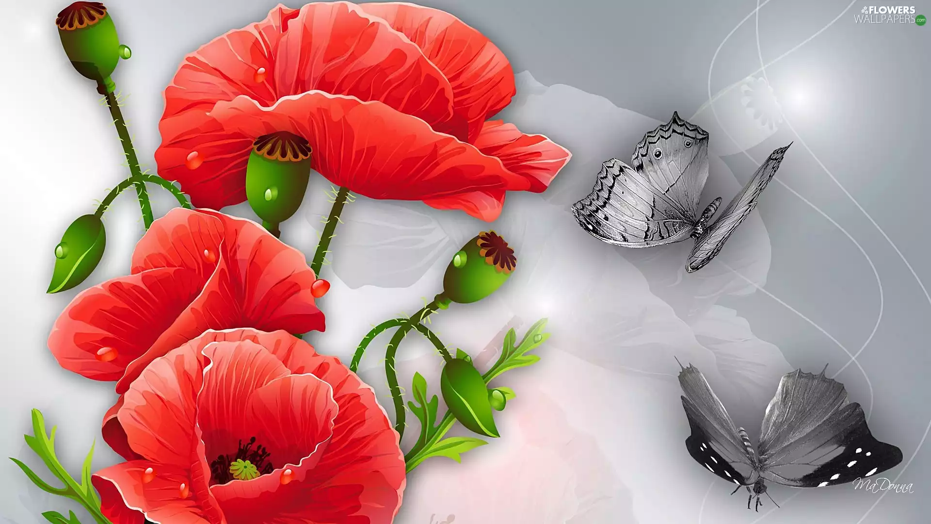 Art, papavers, butterflies