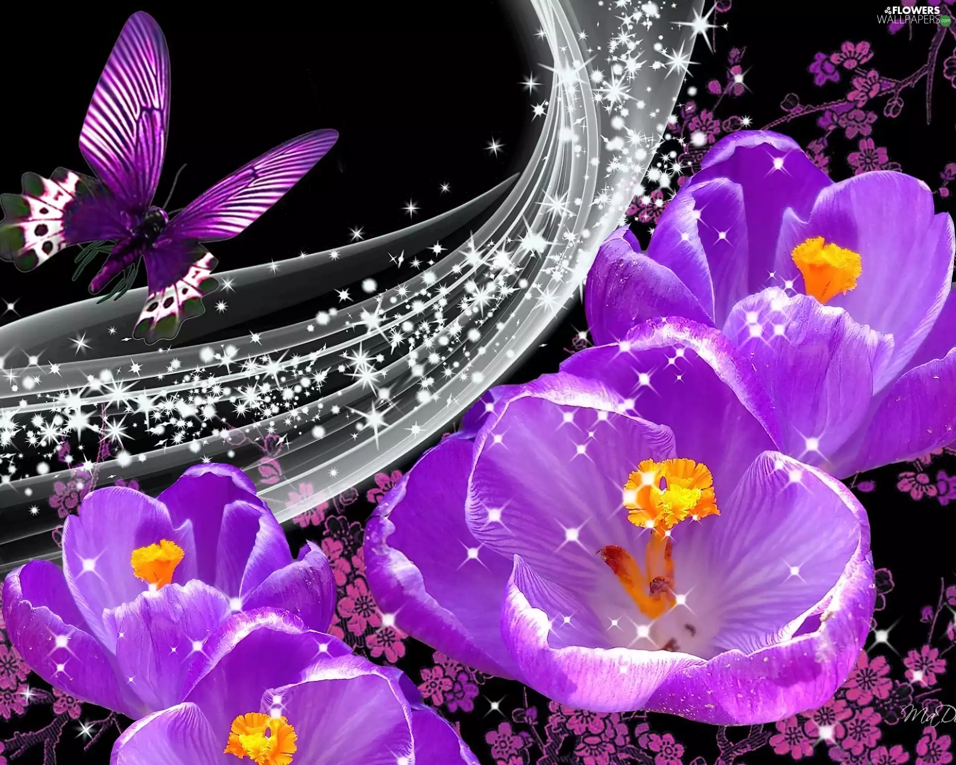 Art, crocuses, butterfly