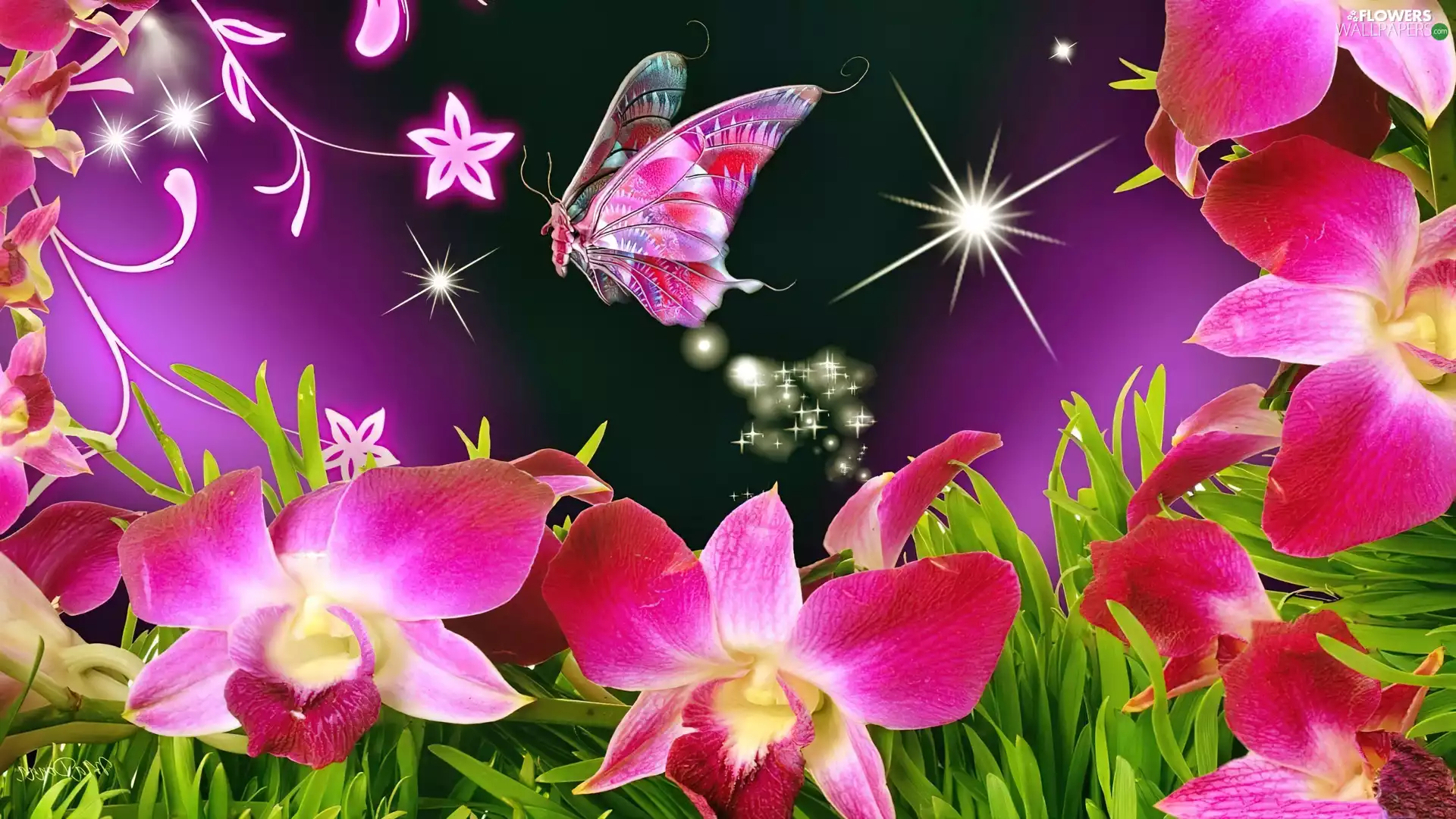 butterfly, Art, Pink, orchids, Flowers