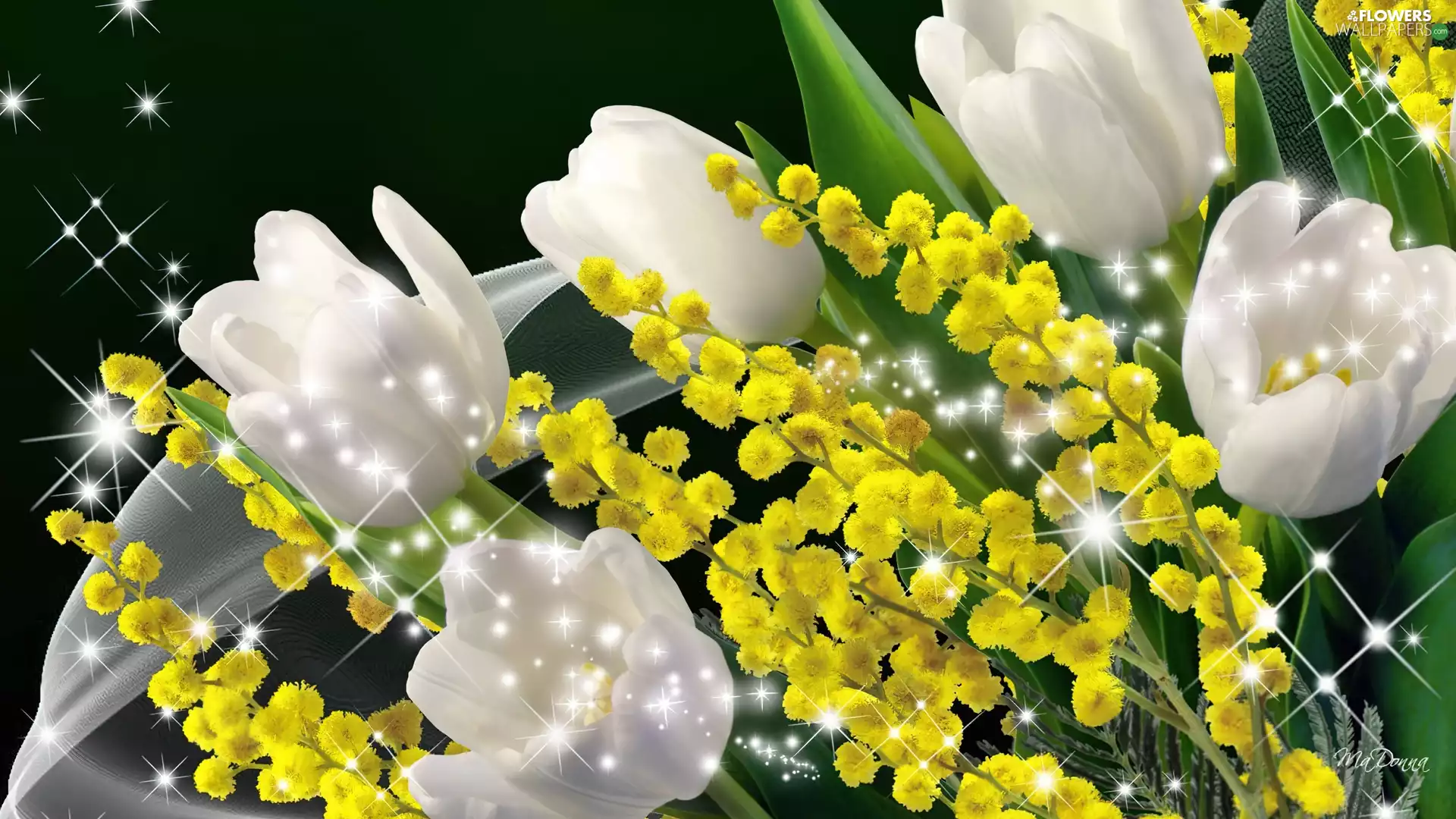 light, Art, Tulips, reflections, White