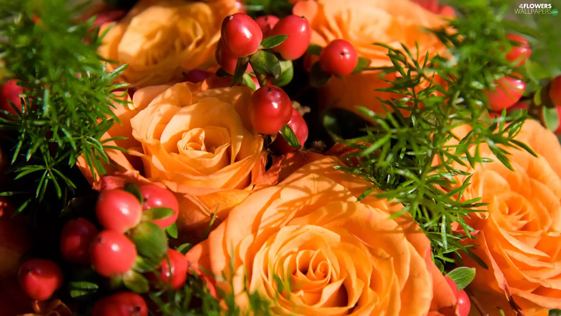 roses, bouquet, blueberries, Asparagus, Red, Orange