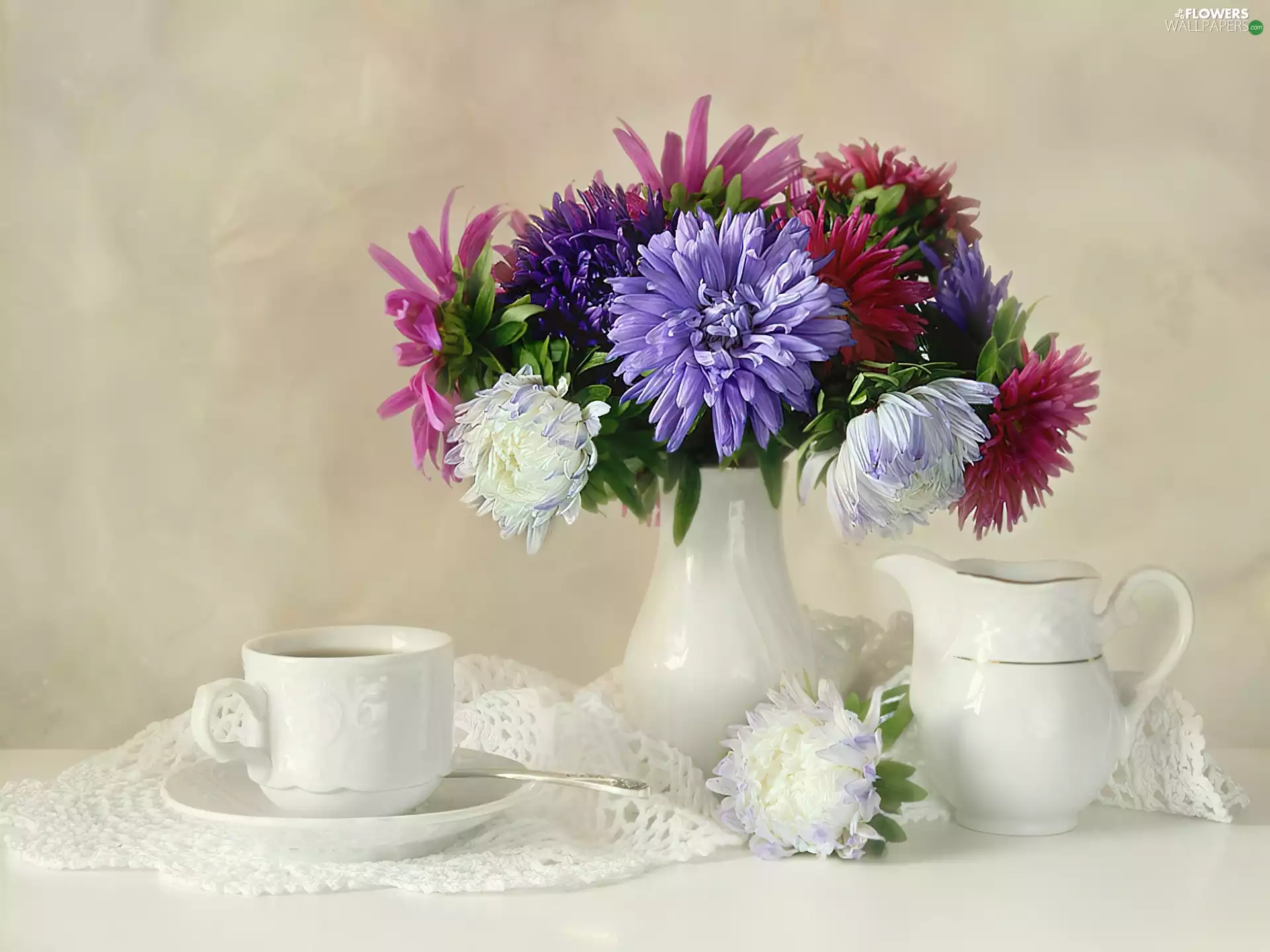 color, White, china, Astra