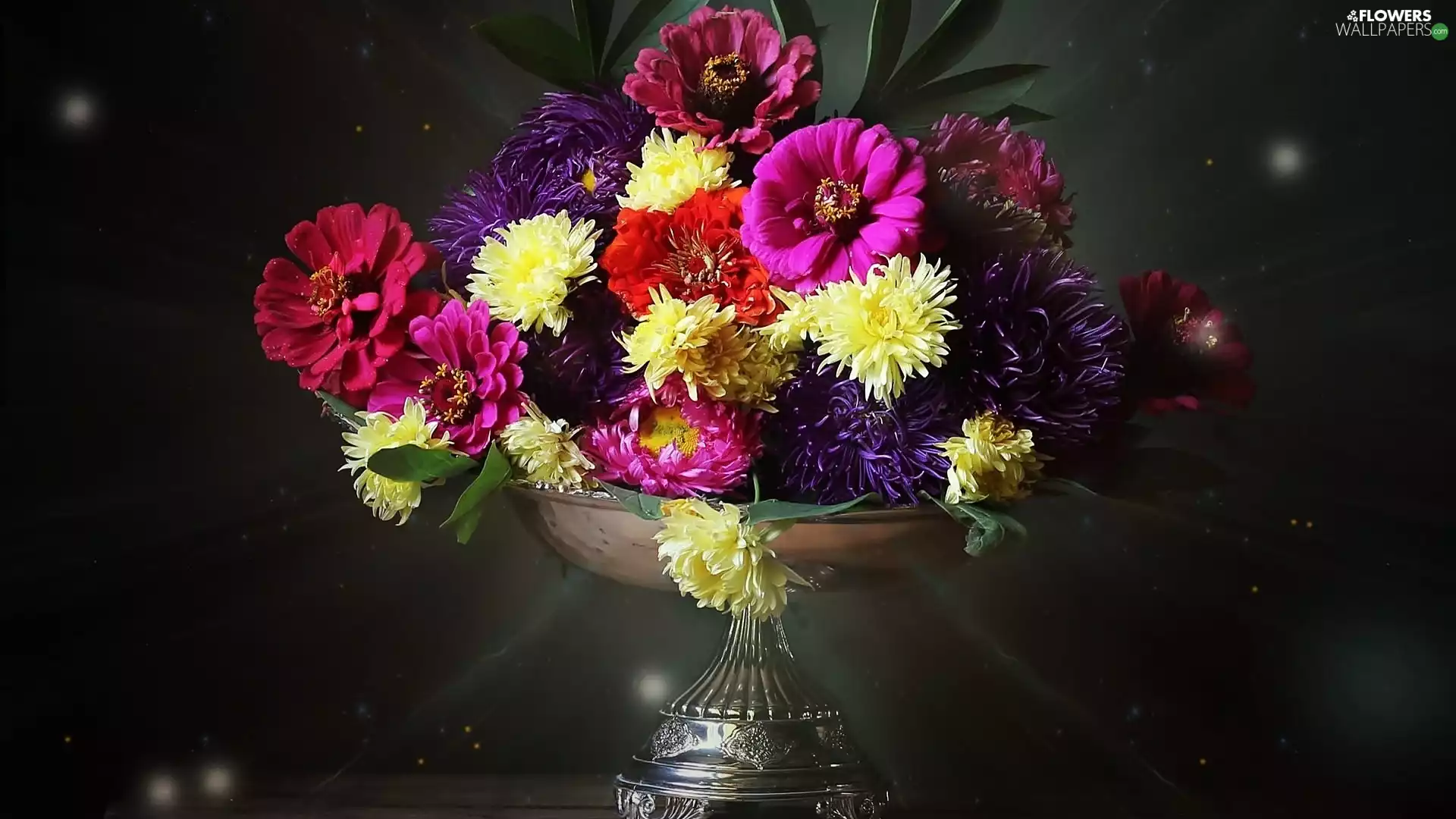 Astra, bouquet, flowers