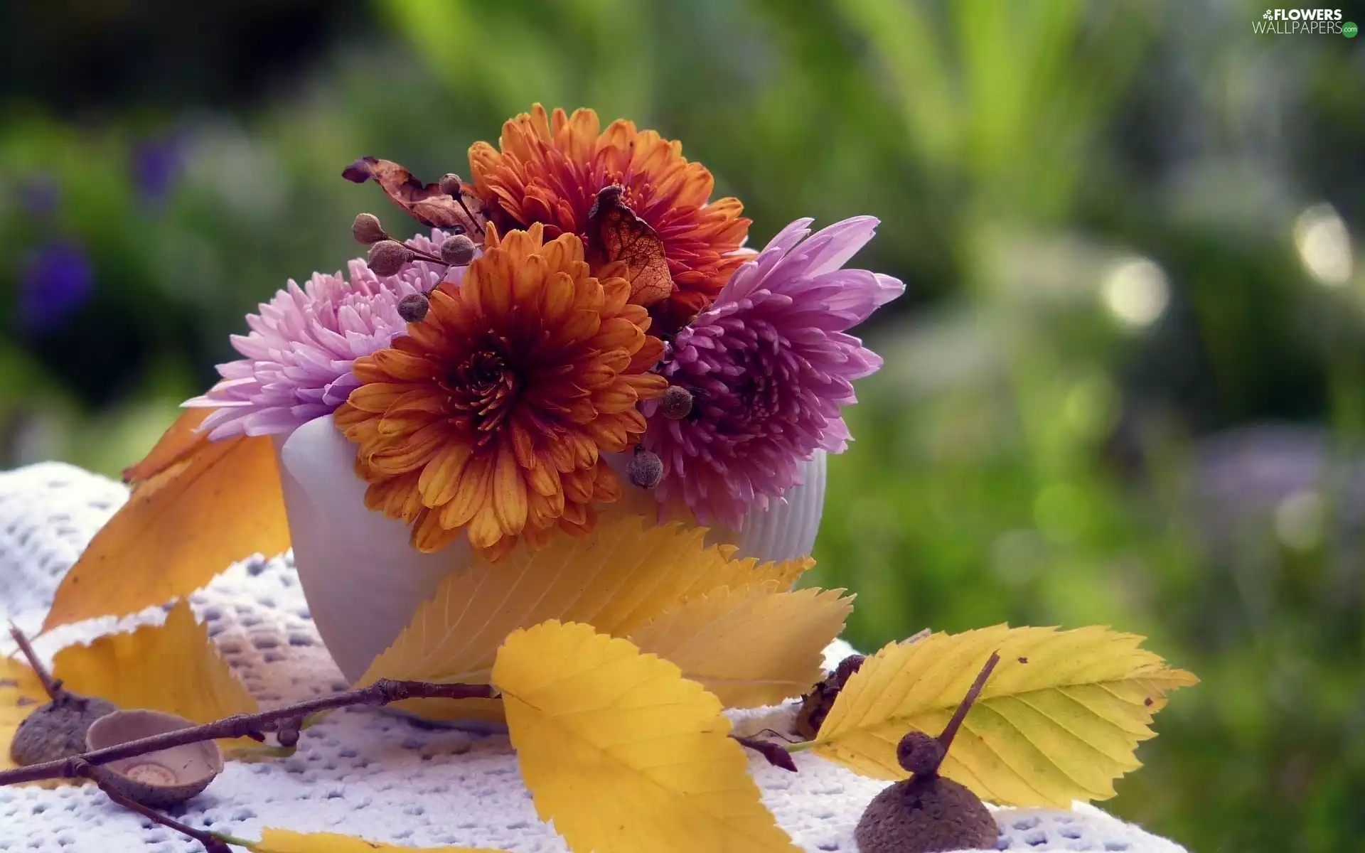 small bunch, twig, autumn, chrysanthemums