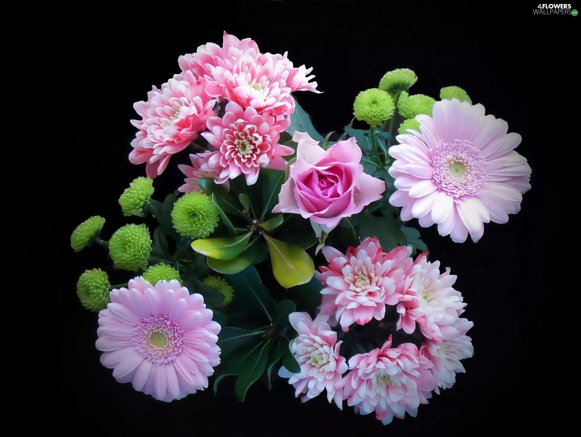 Black, background, bouquet, flowers, Beatyfull