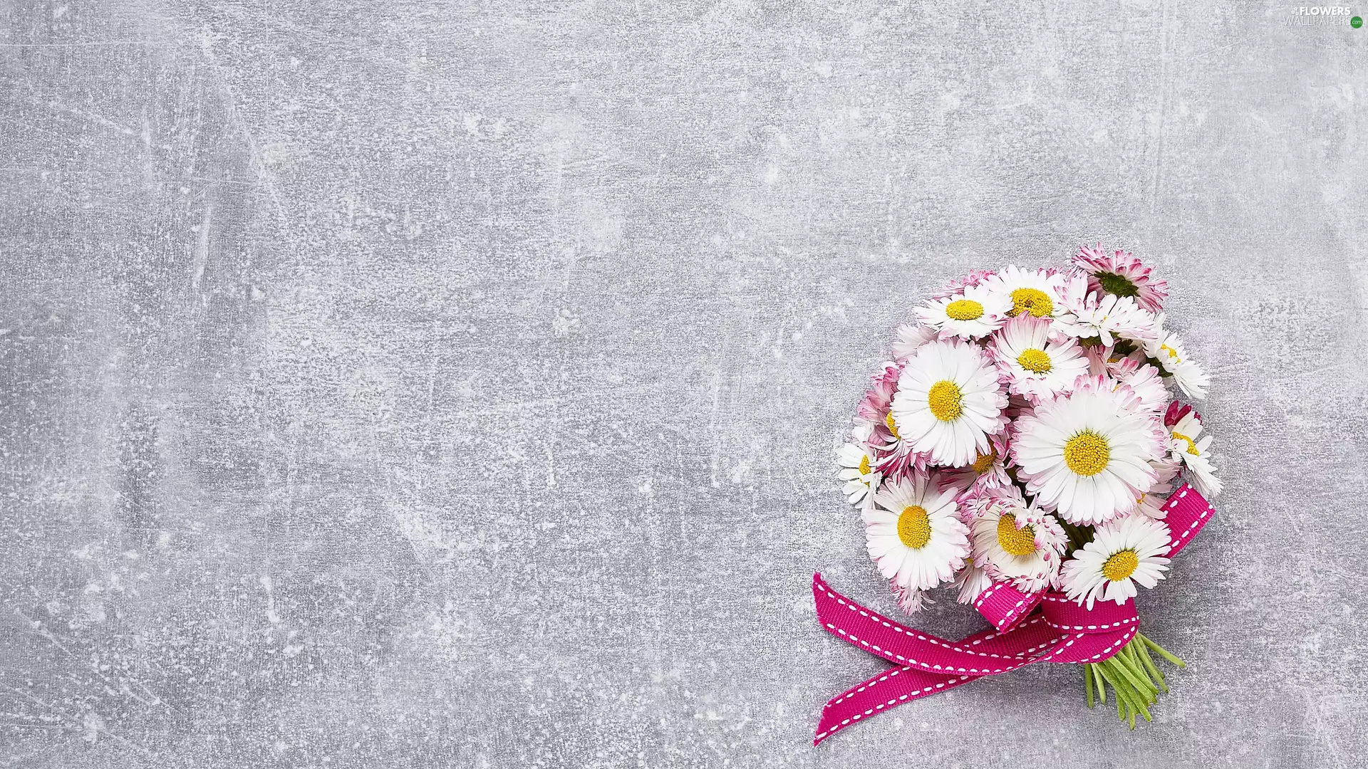 Grey, background, bouquet, ribbon, daisies