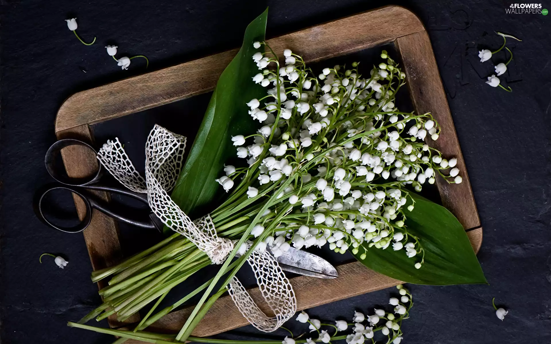 frame, bouquet, bow, lilies, Flowers, scissors, Dark Background