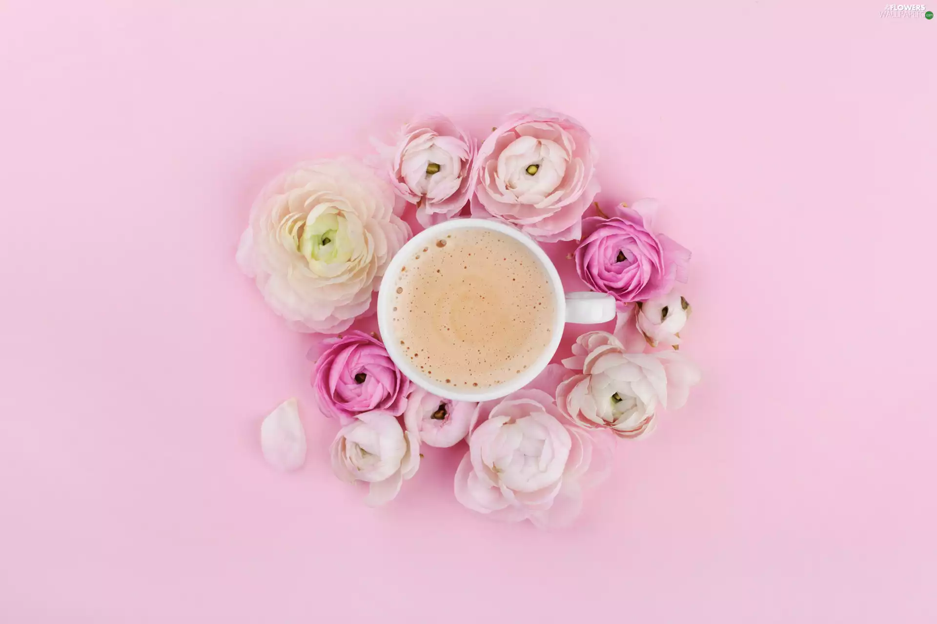 Flowers, coffee, Pink, background, glaucoma, cappuccino