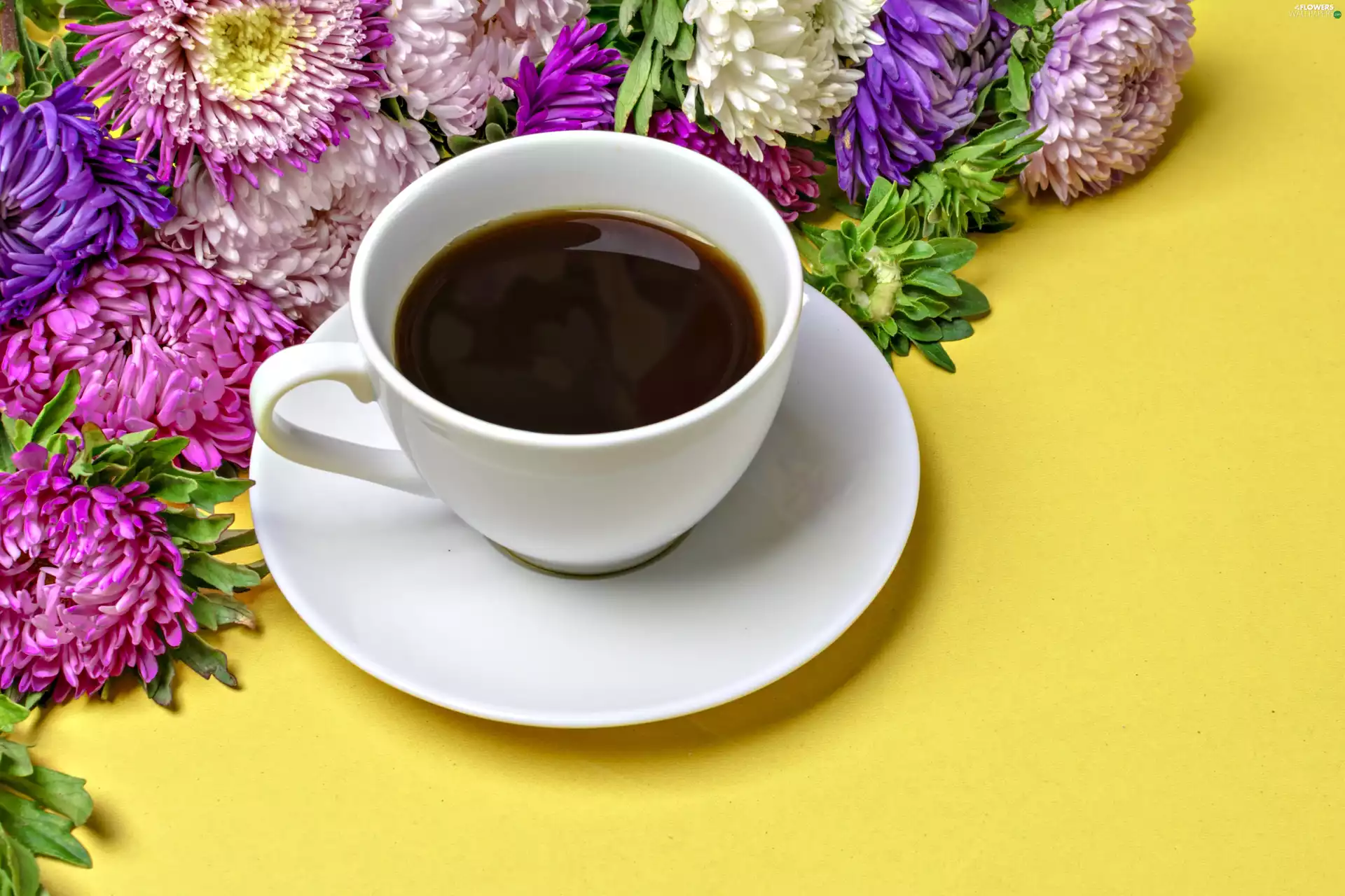 Yellow, background, coffee, Astra, cup