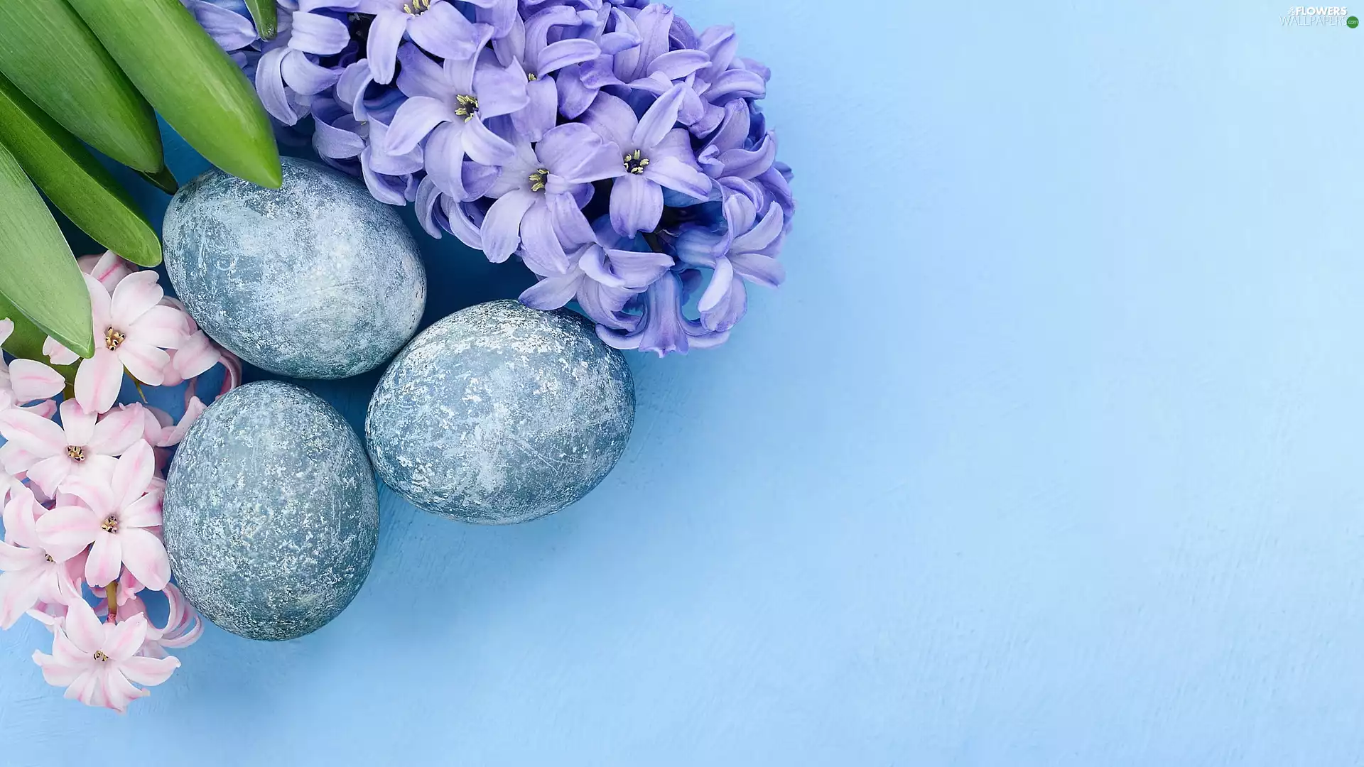 Blue, background, eggs, Hyacinths, Easter