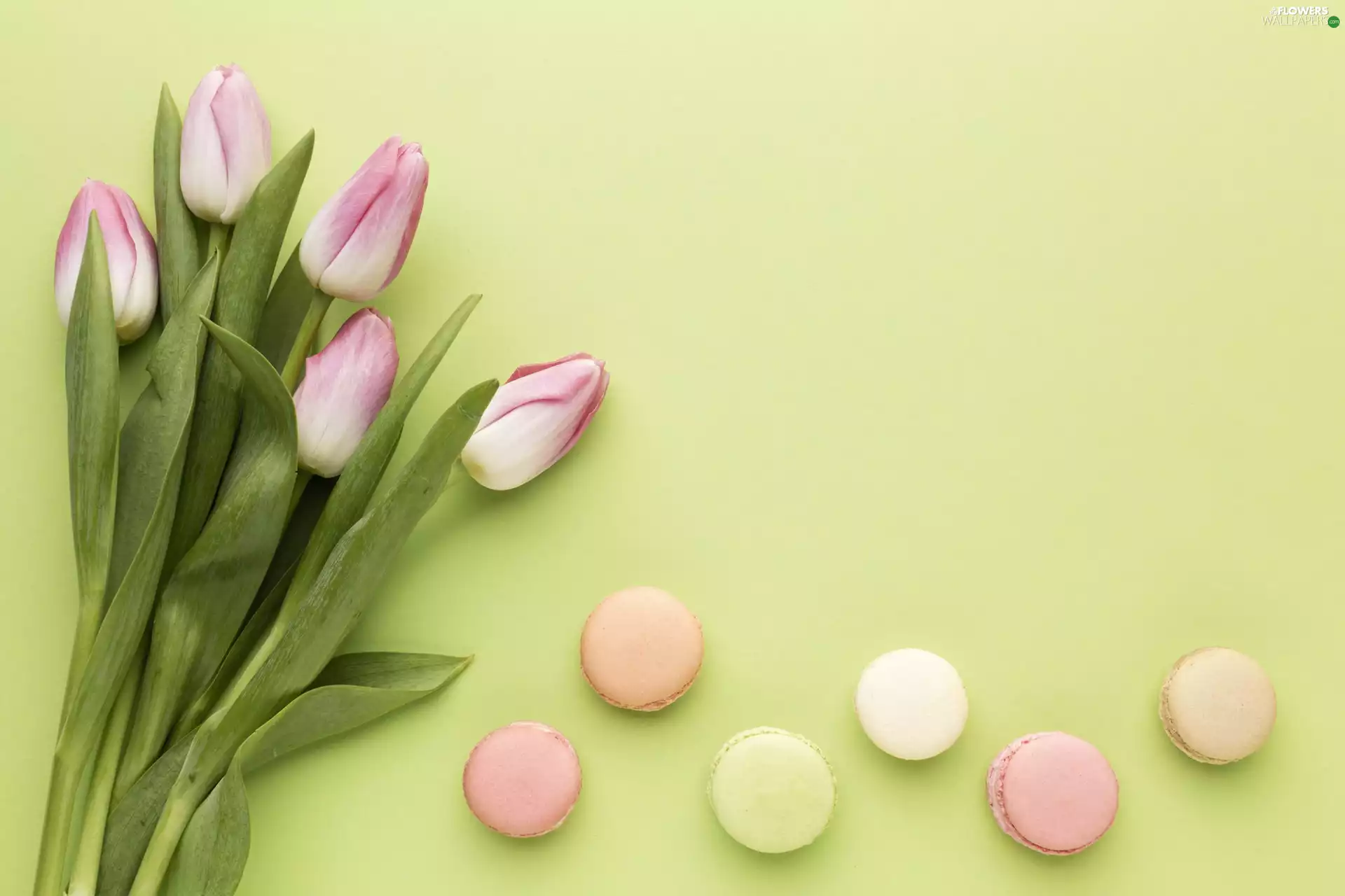 Cookies, bouquet, green ones, Tulips, Flowers, Macaroons, background