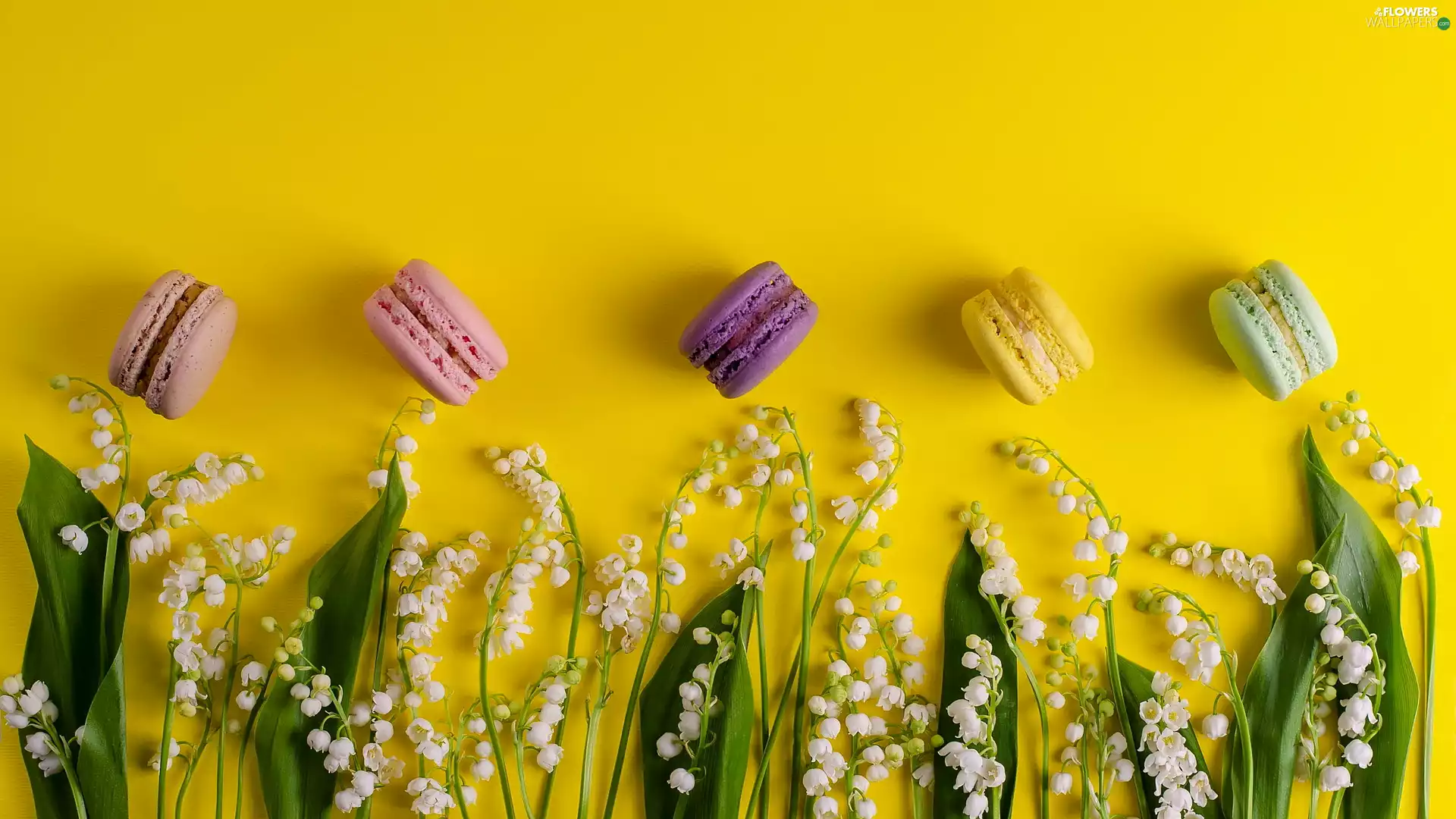 Yellow, background, Macaroons, lilies, Cookies