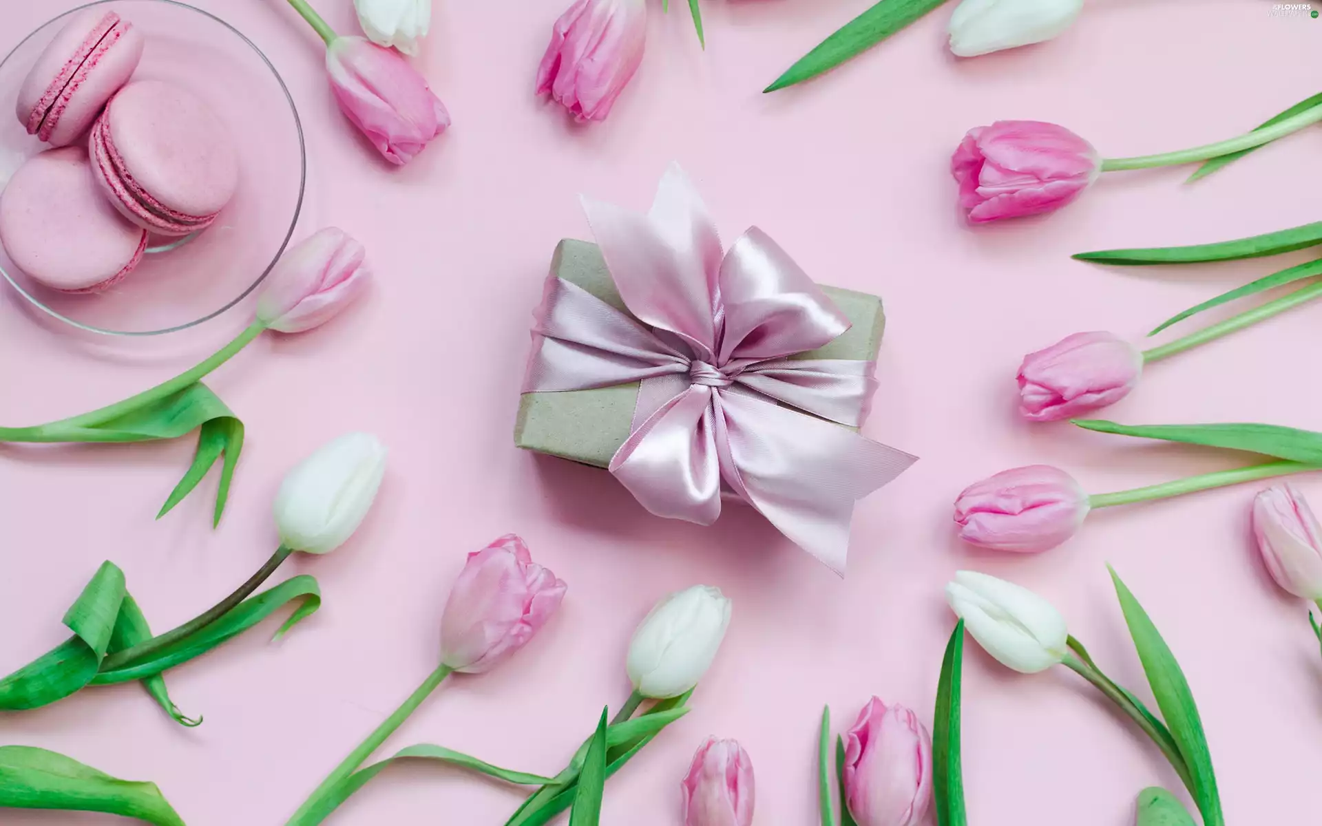 Pink, background, Macaroons, Present, Tulips