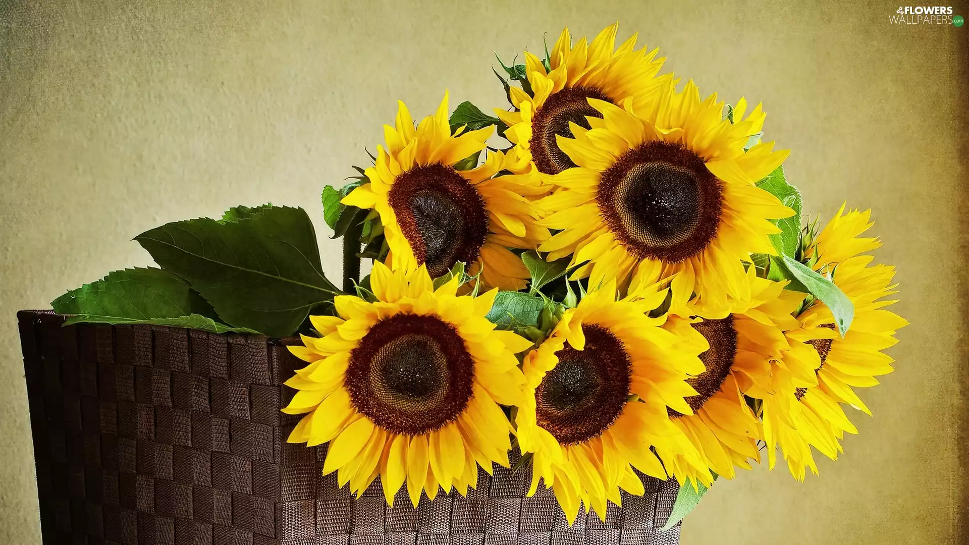 basket, Brown, background, Nice sunflowers