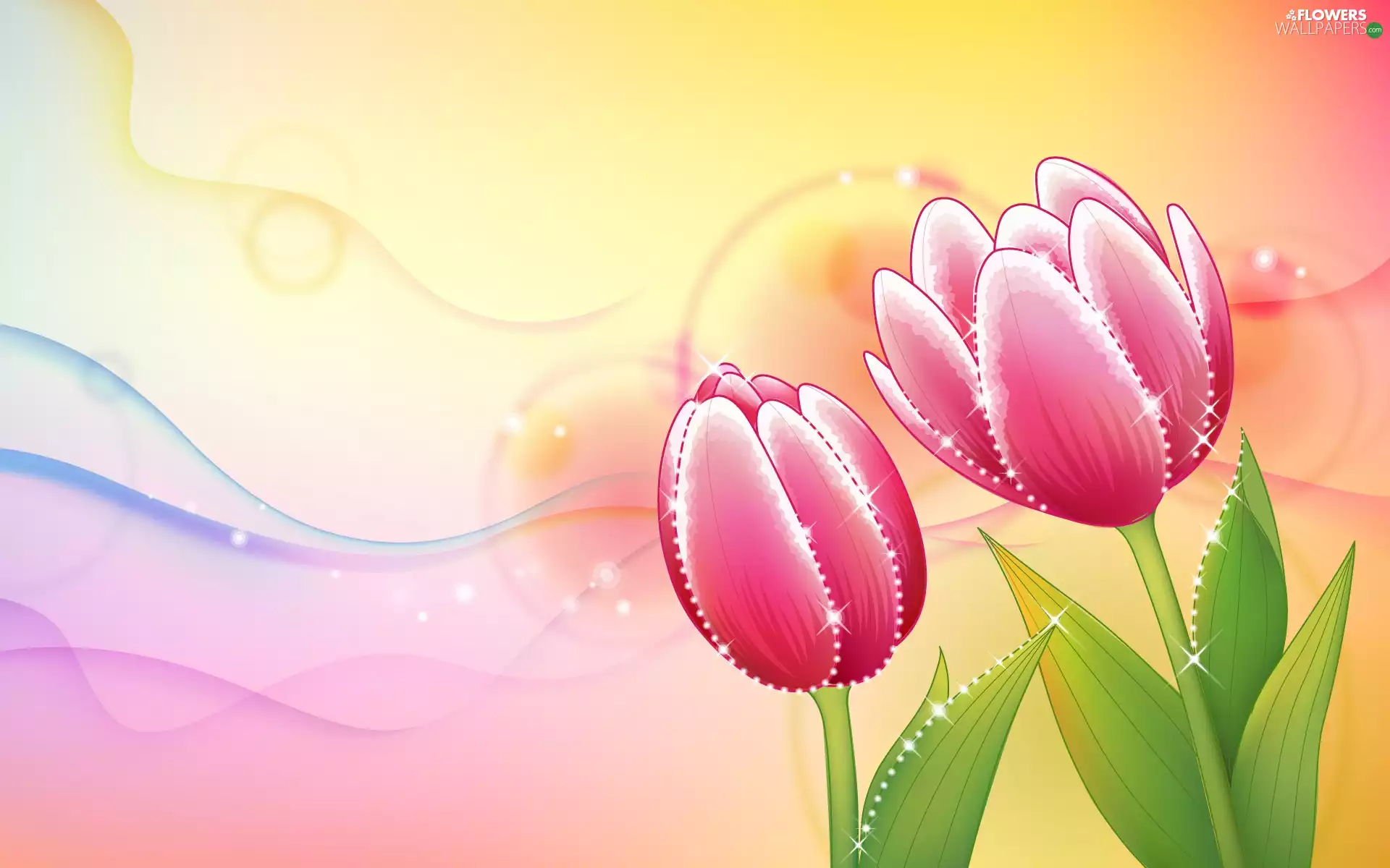 Pink, color, background, Tulips