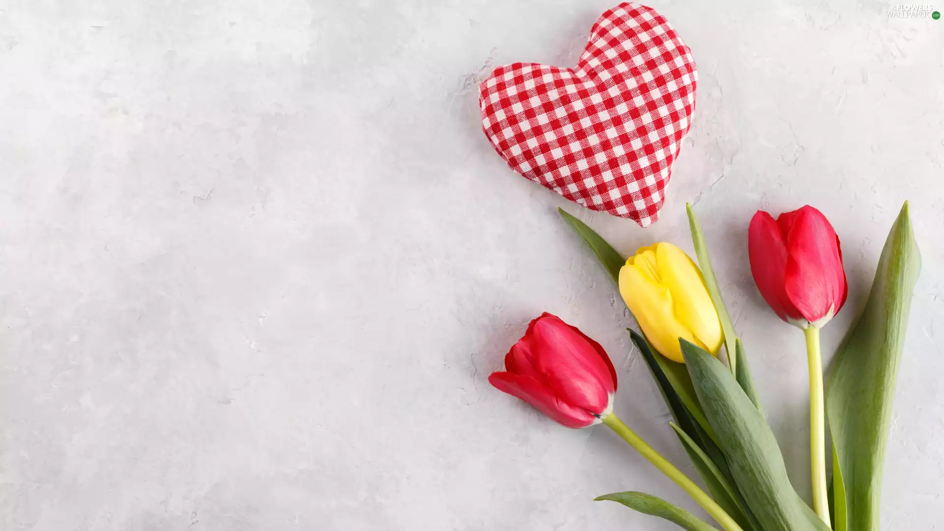 Bright, background, rag, Heart, Tulips