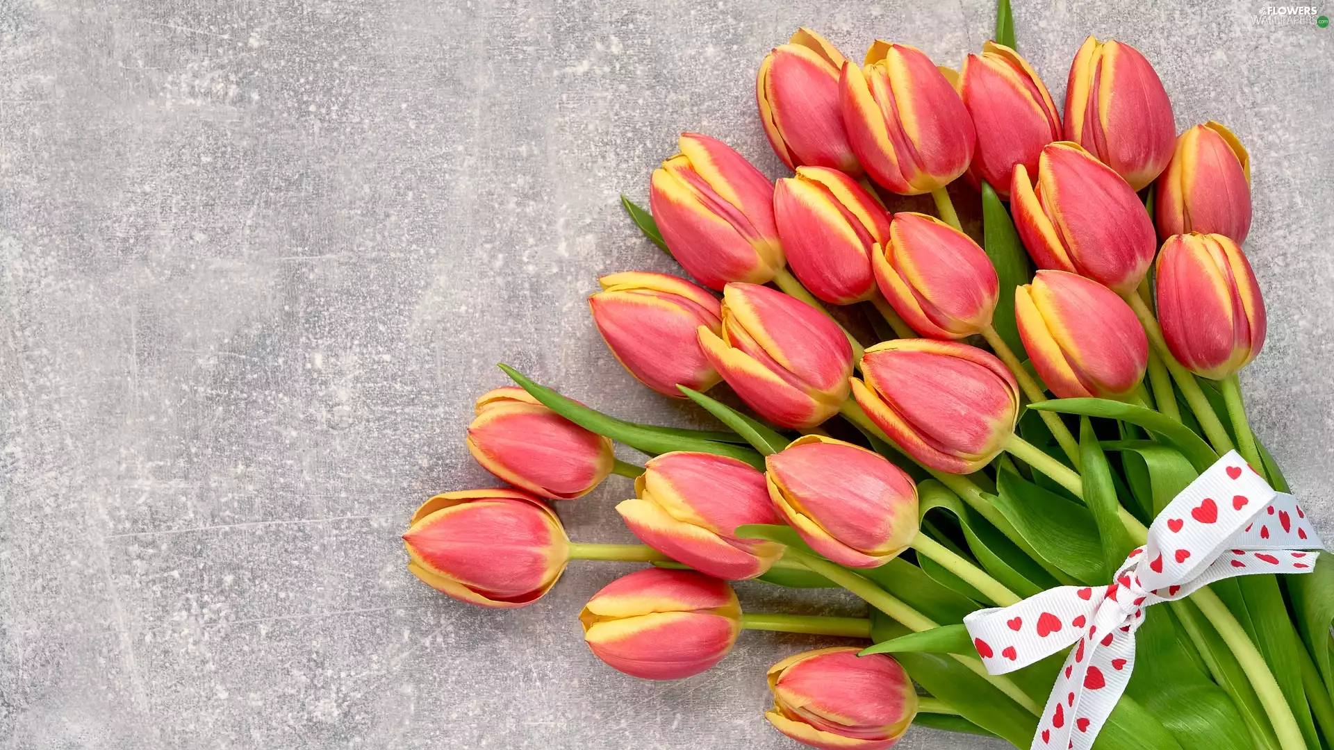 Grey, background, ribbon, bouquet, Tulips
