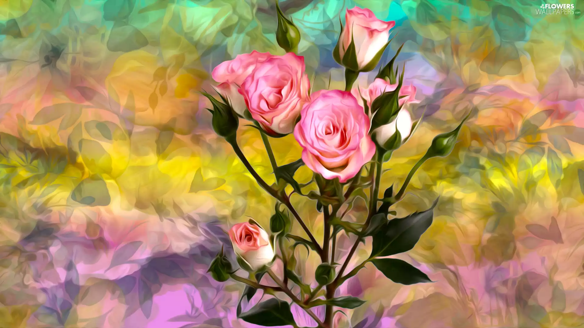 color, background, roses, graphics, Flowers