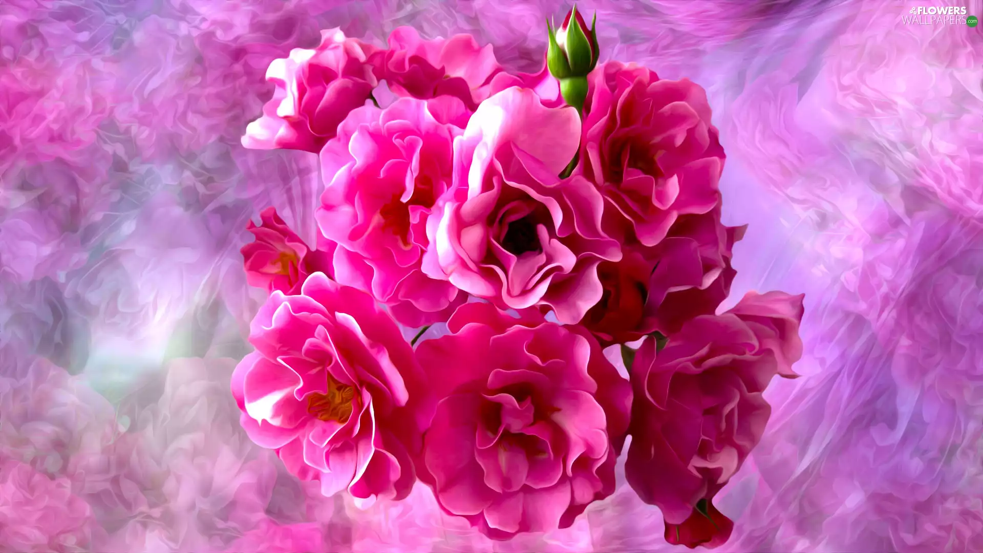blurry background, roses, 2D Graphics