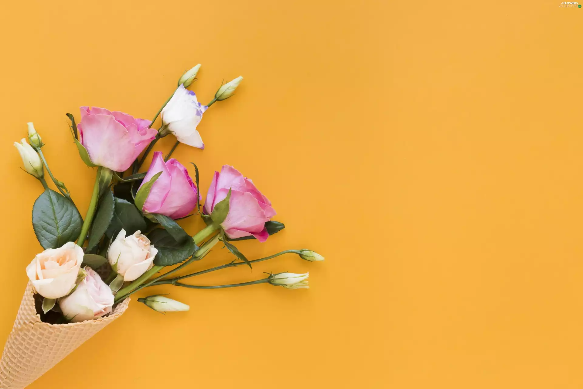 Eustomy, Flowers, Orange, background, Wafer, roses