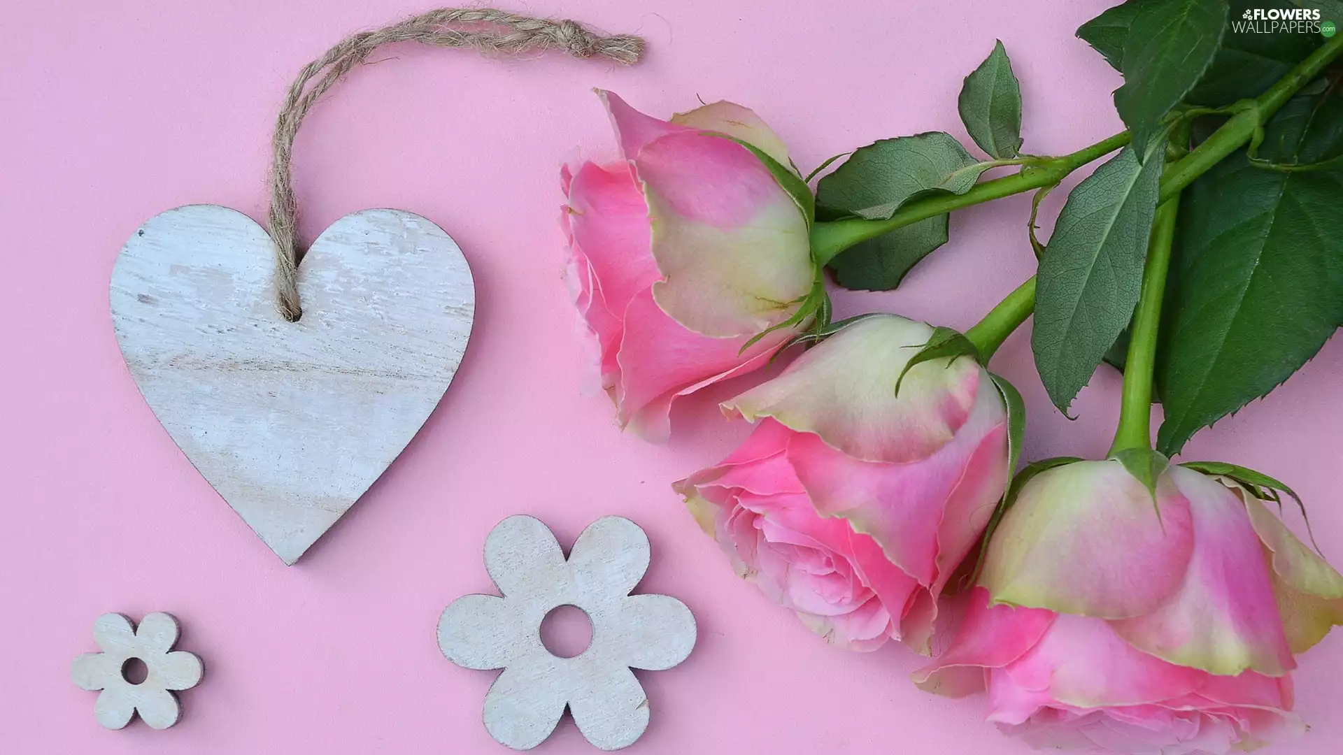 wood, Three, Pink, background, Heart, roses