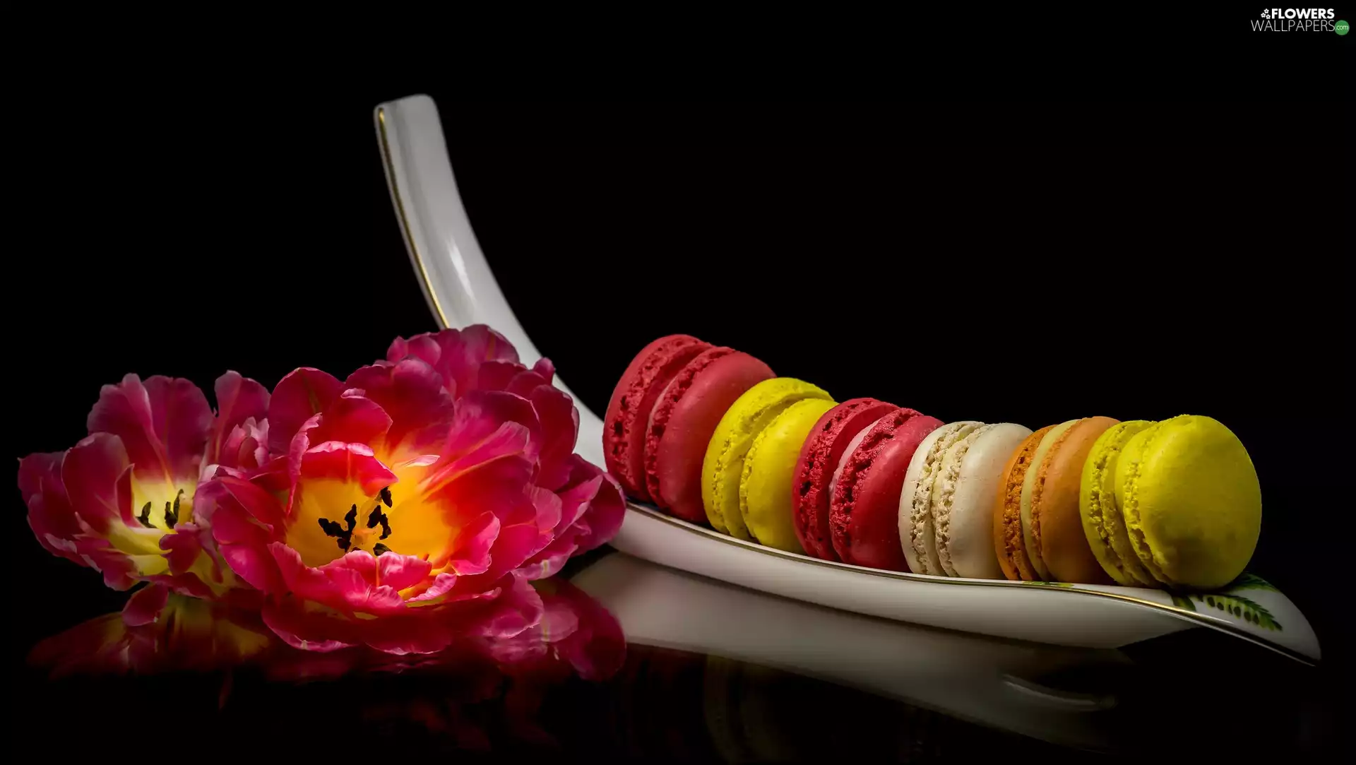 Cookies, Flowers, dark, background, Macaroons, Tulips