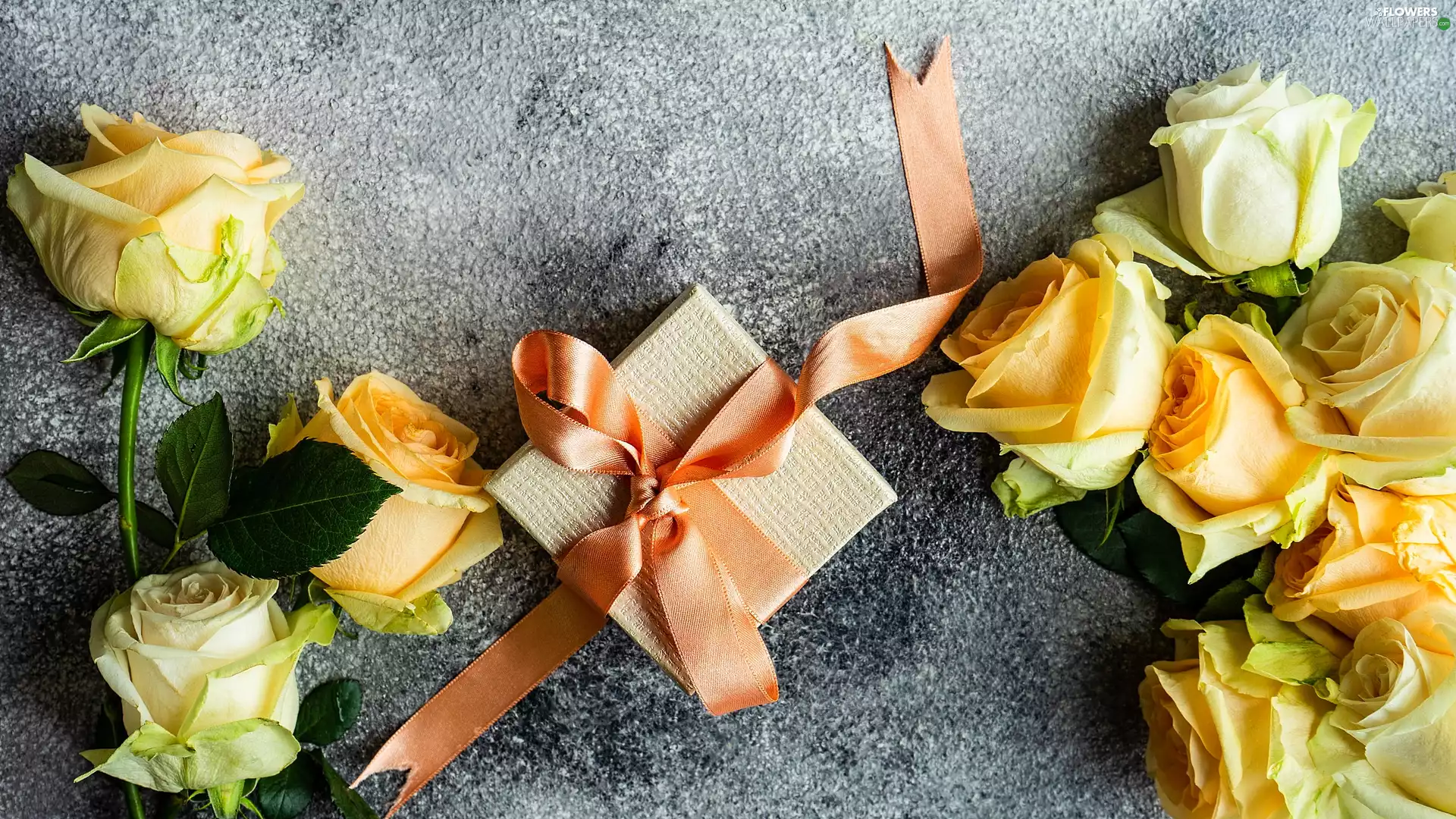 roses, Yellow, Grey, background, Present, White