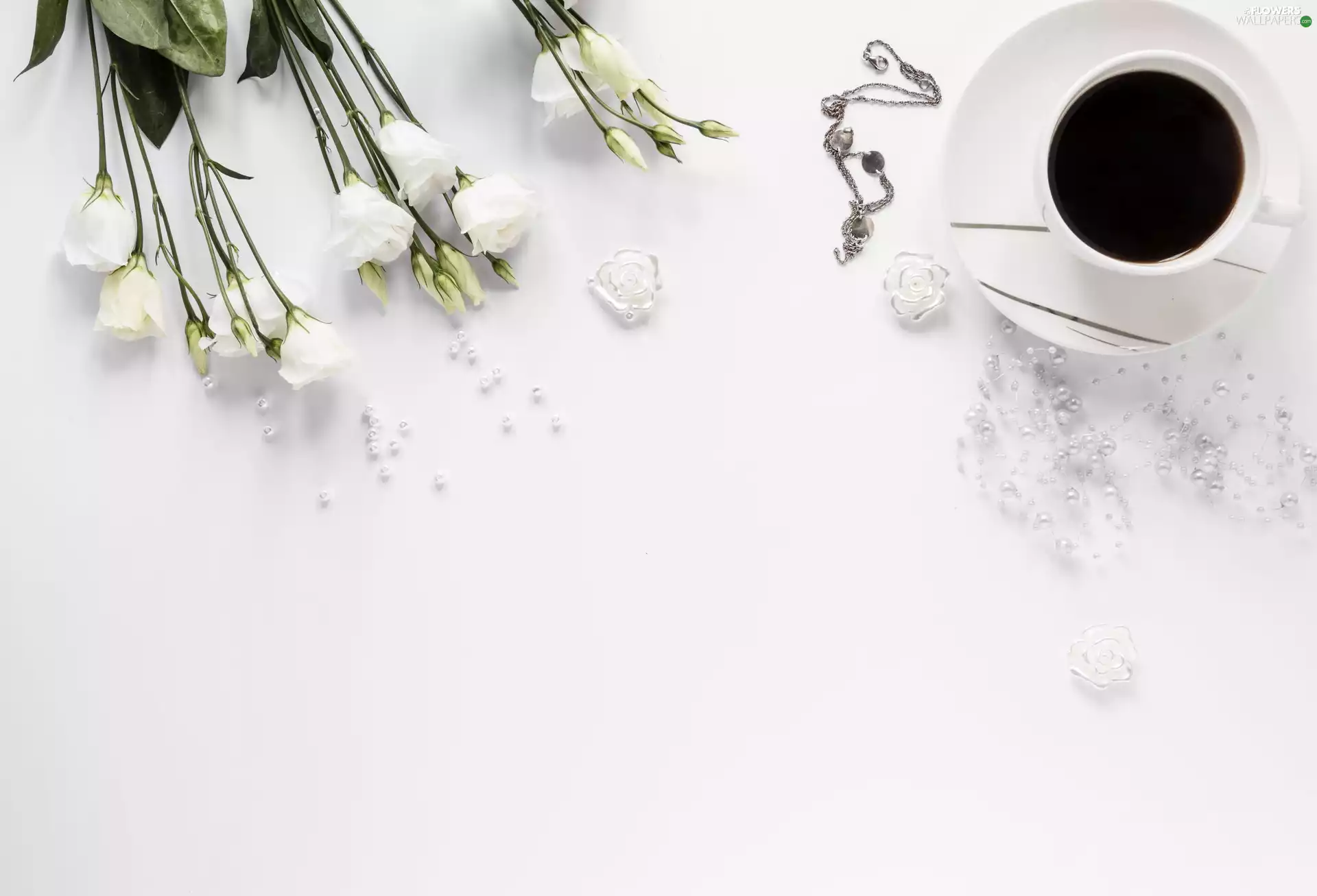Eustomy, Flowers, White, background, coffee, White