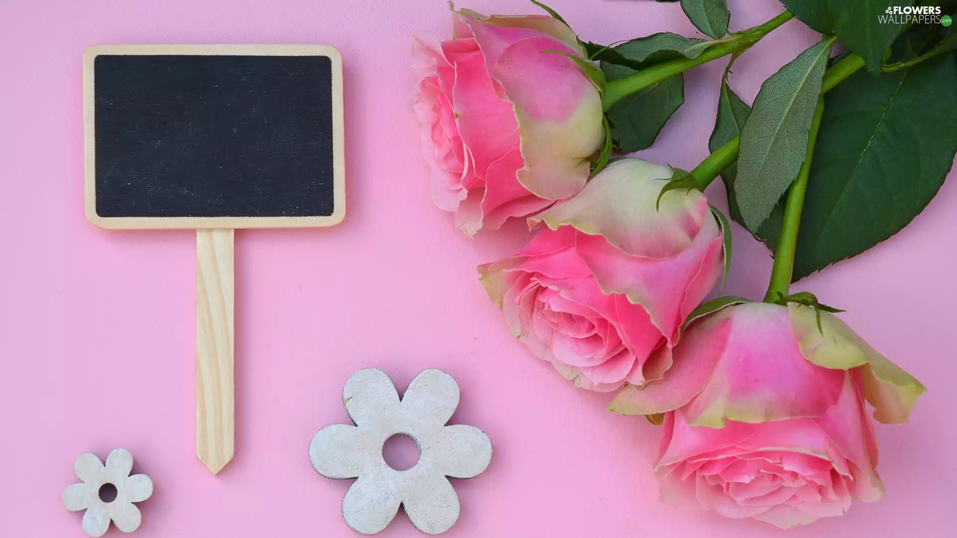 Flowers, plate, Pink, background, roses, wood