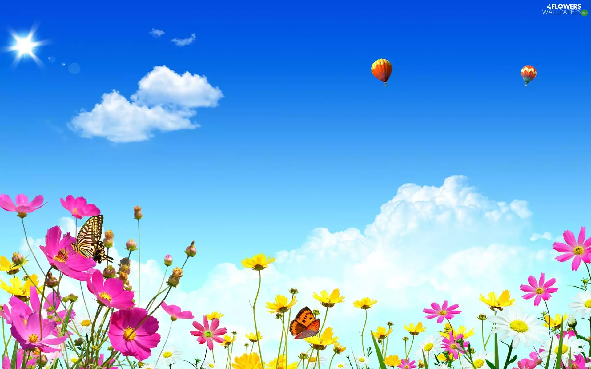 butterflies, Spring, Sky, Balloons, Flowers, color