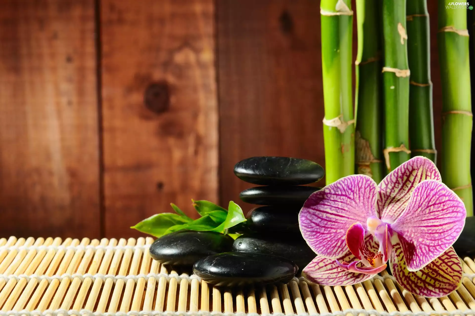 orchid, mat, bamboo, Stones