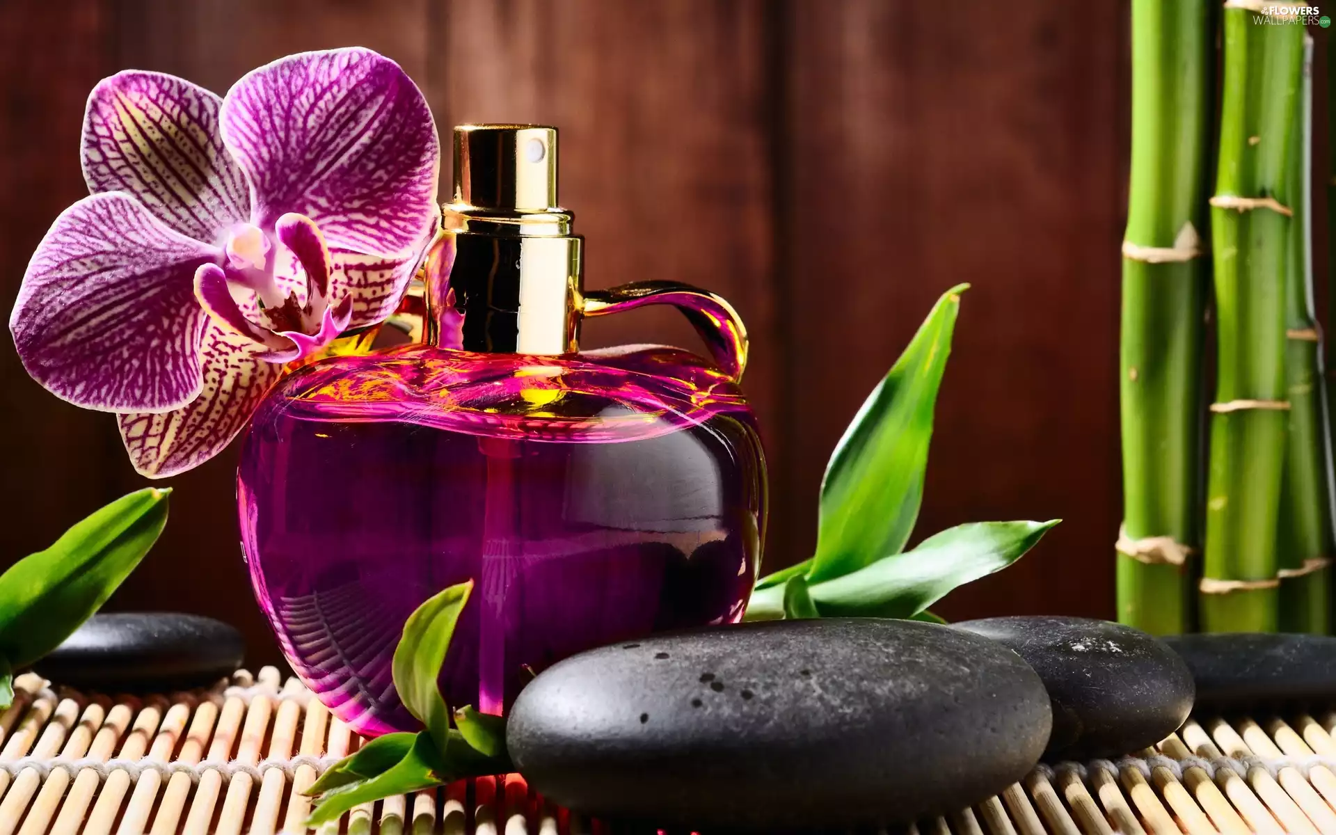 bamboo, perfume, orchids, Stones, composition