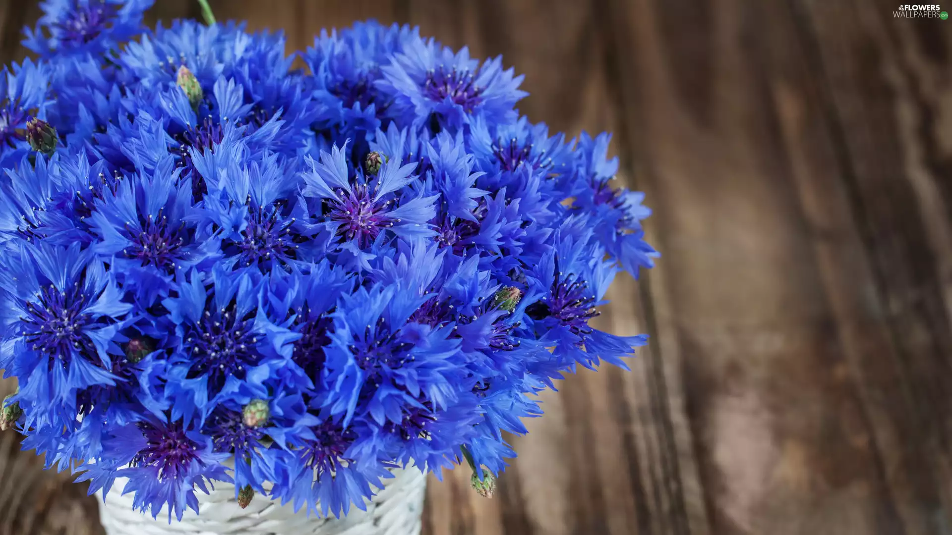 cornflowers, basket, Blue, bouquet, Flowers