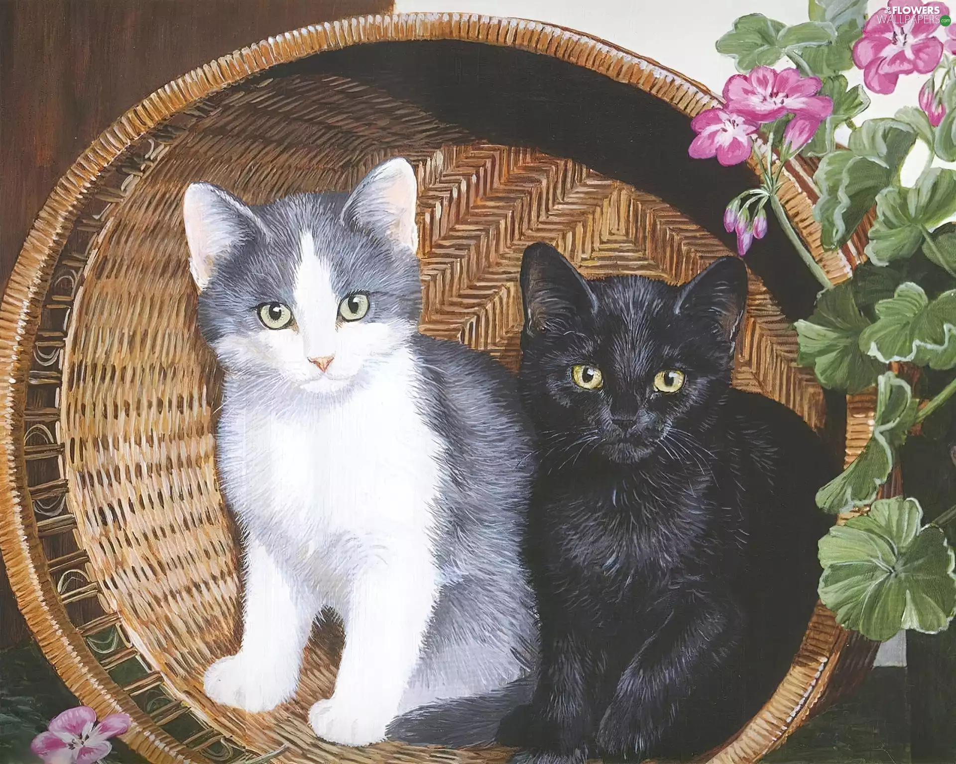 Flowers, geraniums, cats, basket, Two cars