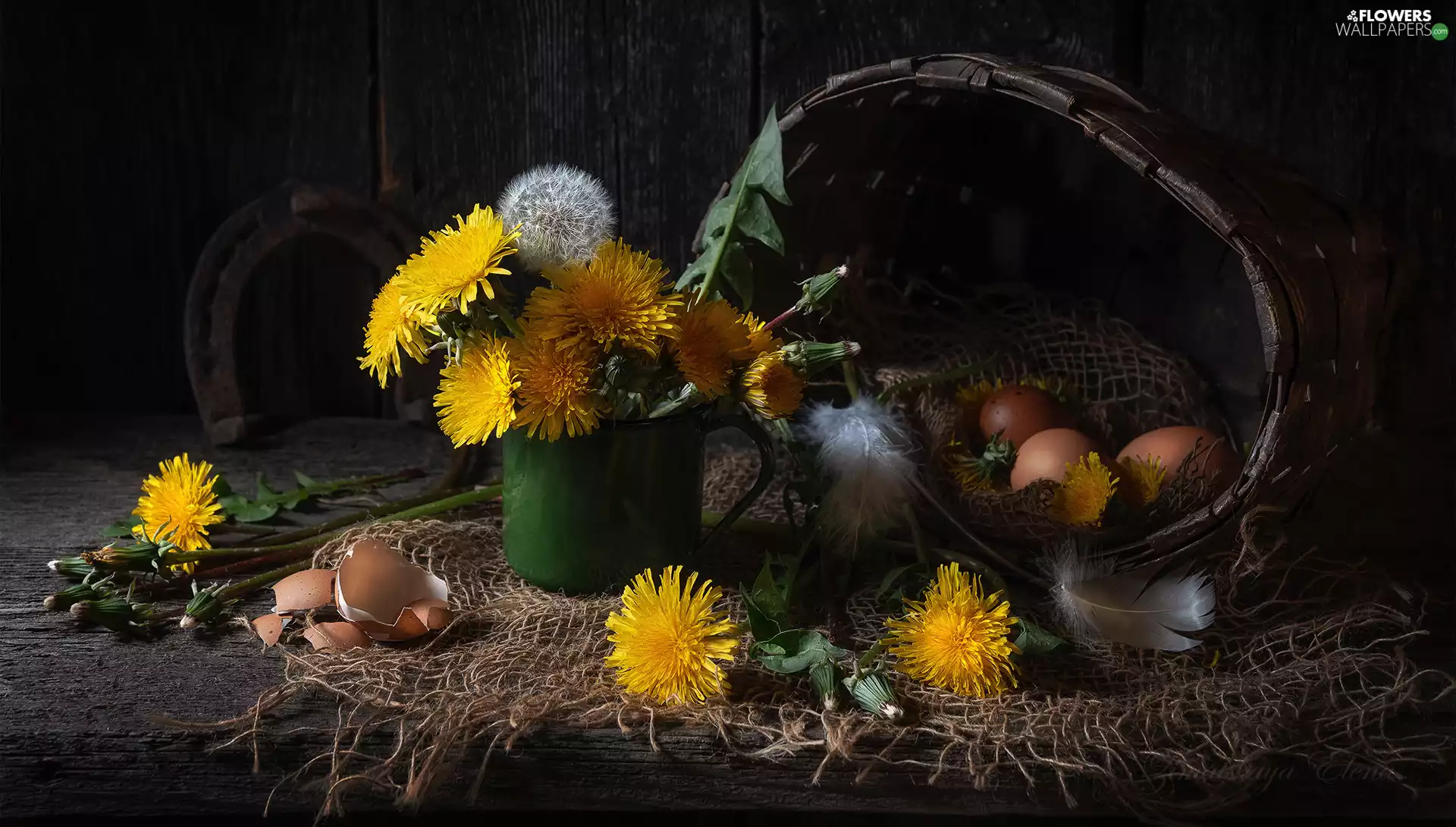 nuns Common, composition, basket, shell, eggs, Flowers
