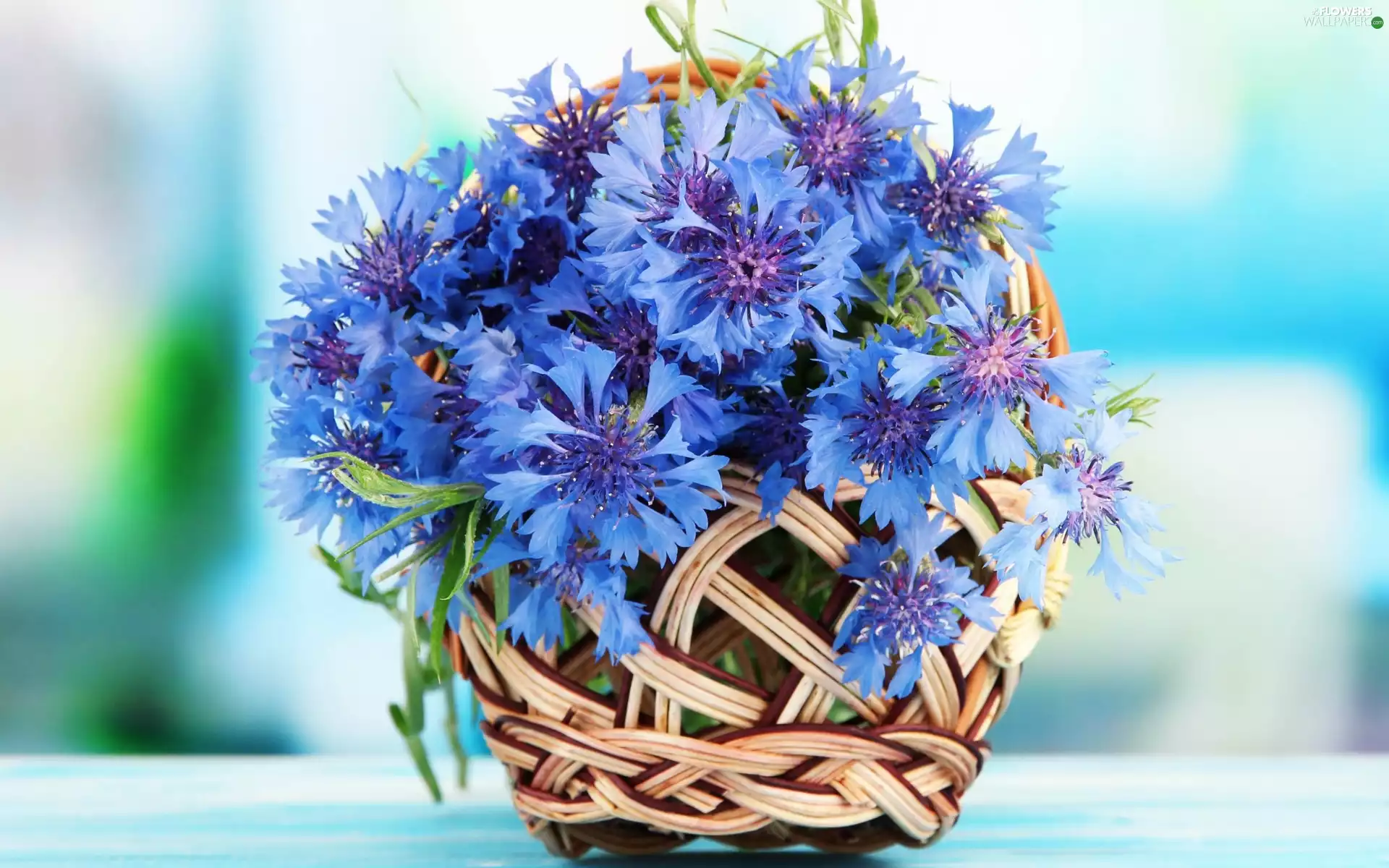 basket, bouquet, cornflowers