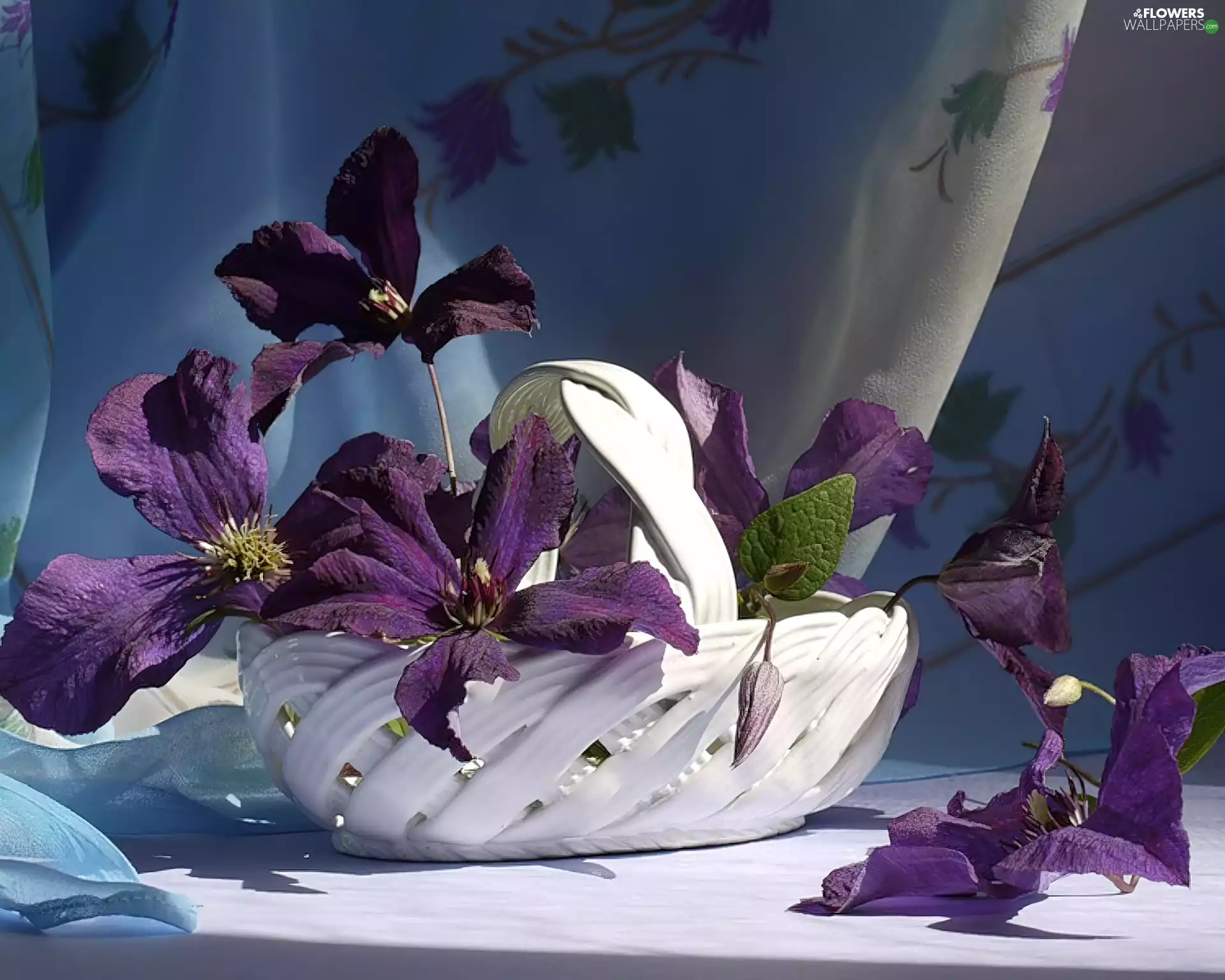 White, basket, Flowers, Clematis, purple