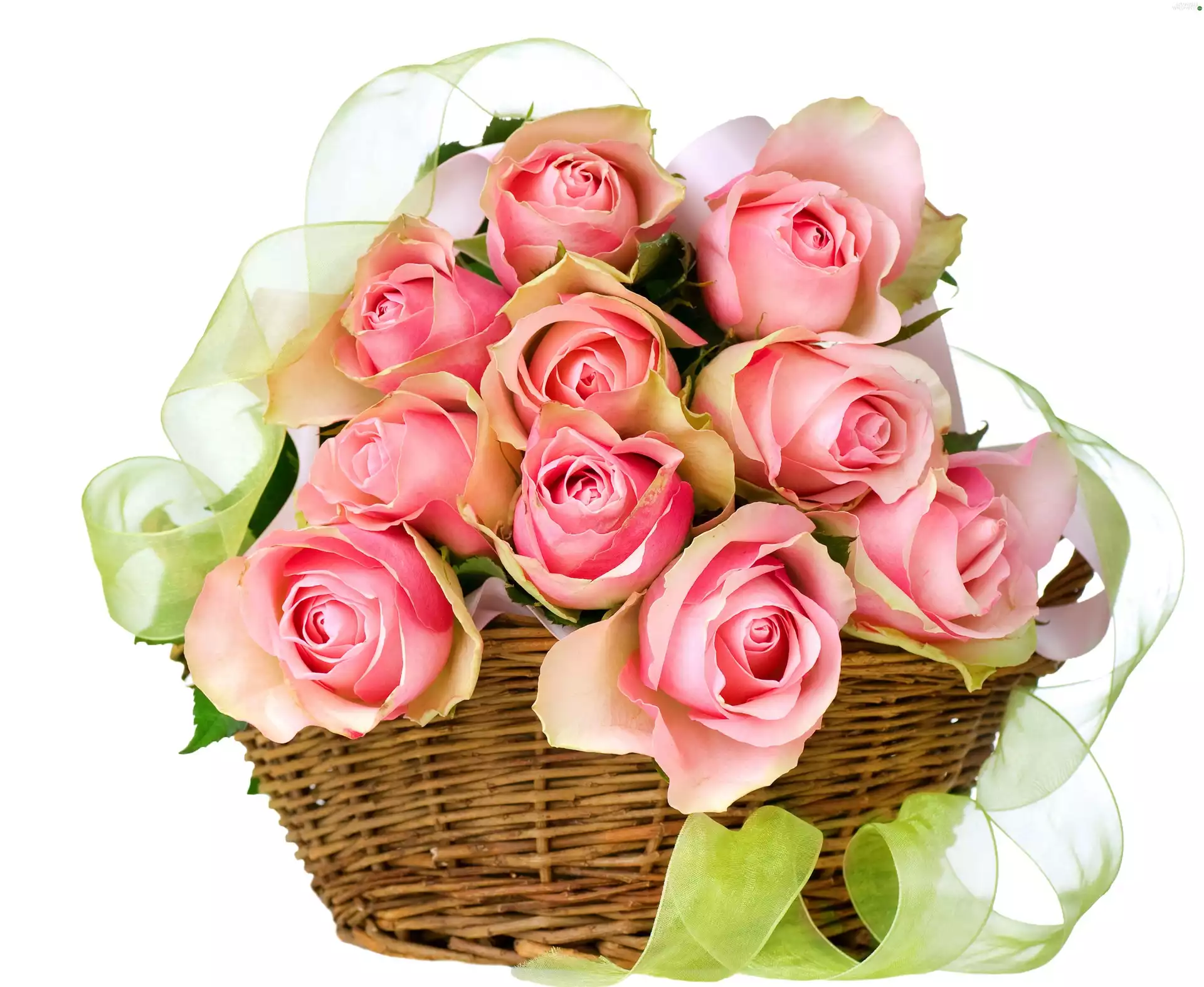 Flowers, bouquet, roses, basket