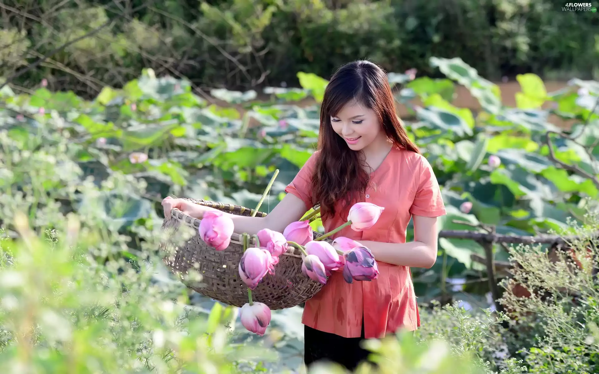 garden, brunette, lotus, basket, Flowers, girl