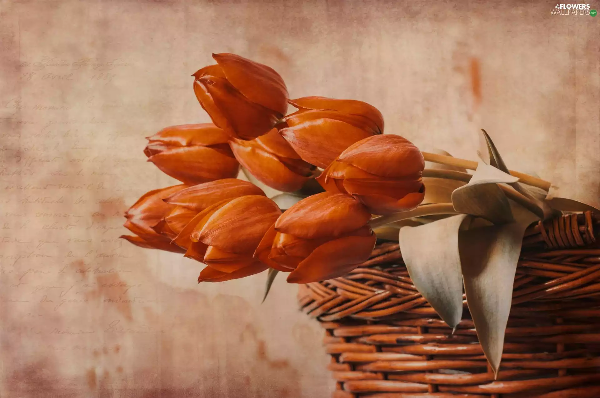 Tulips, Flowers, wicker, basket, Leaf, Orange