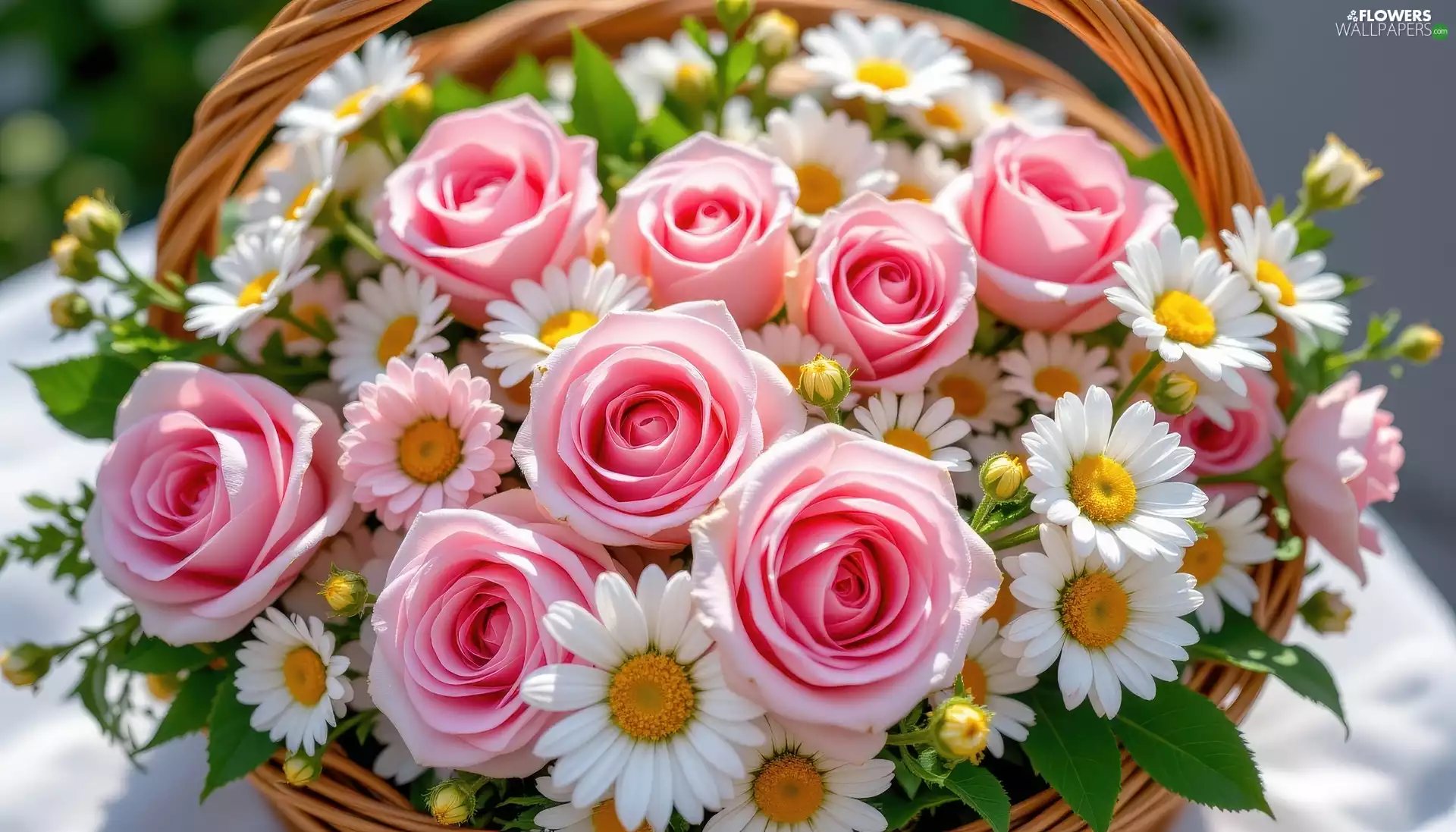 roses, Flowers, wicker, basket, daisy, Pink